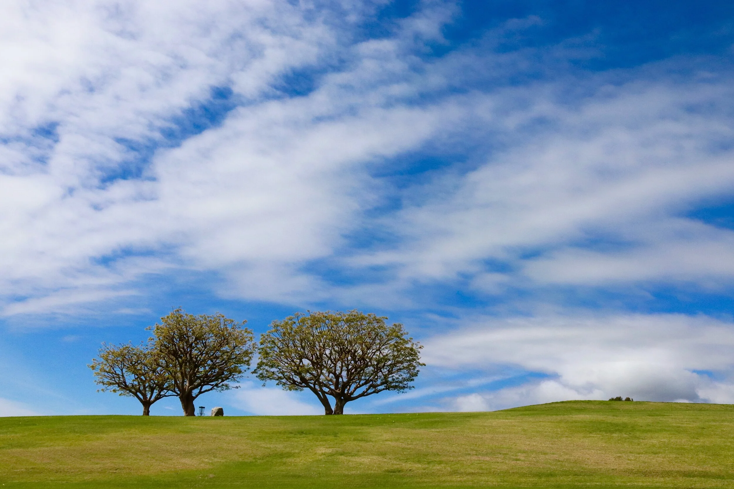 Off the Beaten Path - California