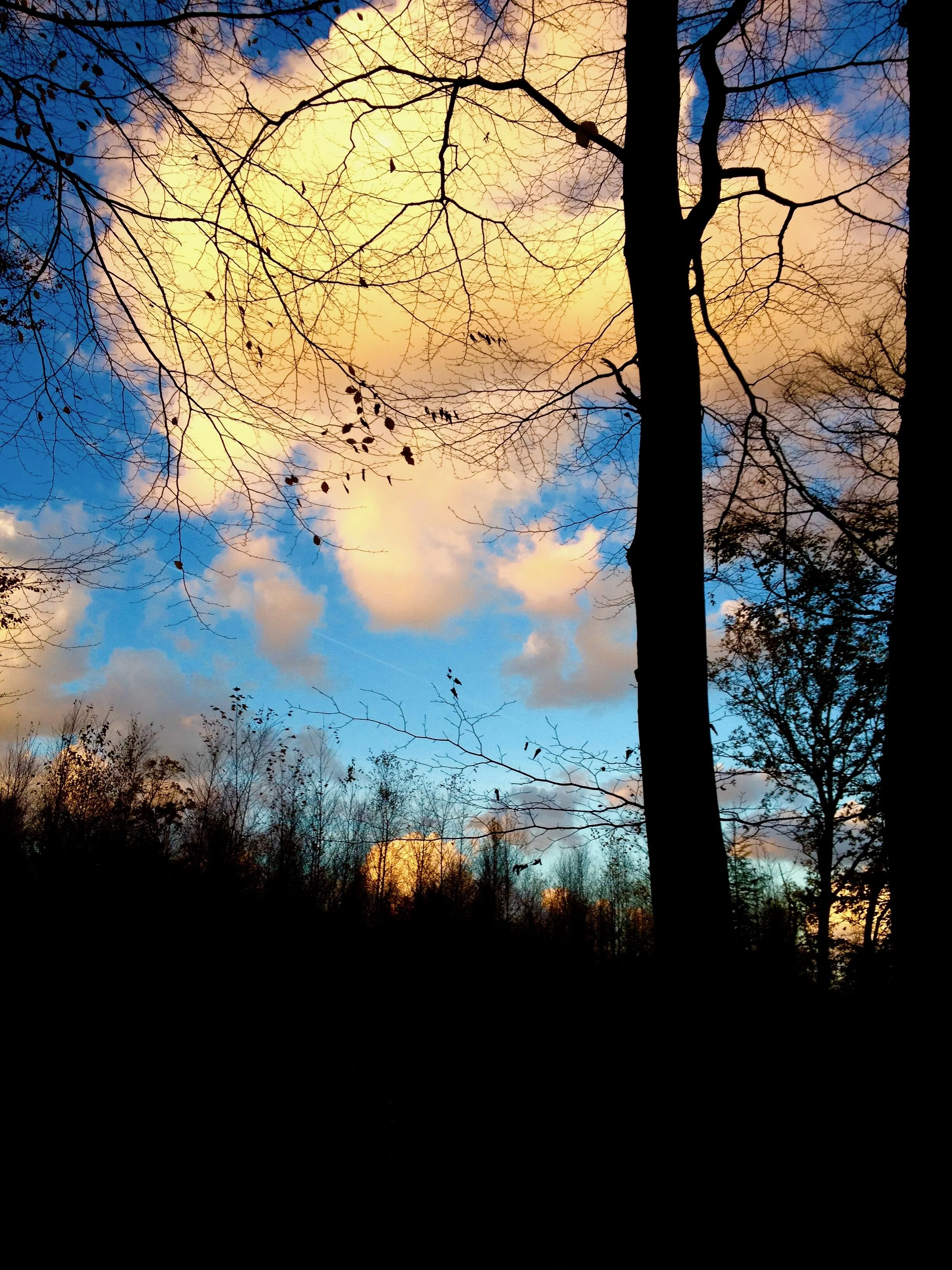Outside My Window - Arild, Sweden