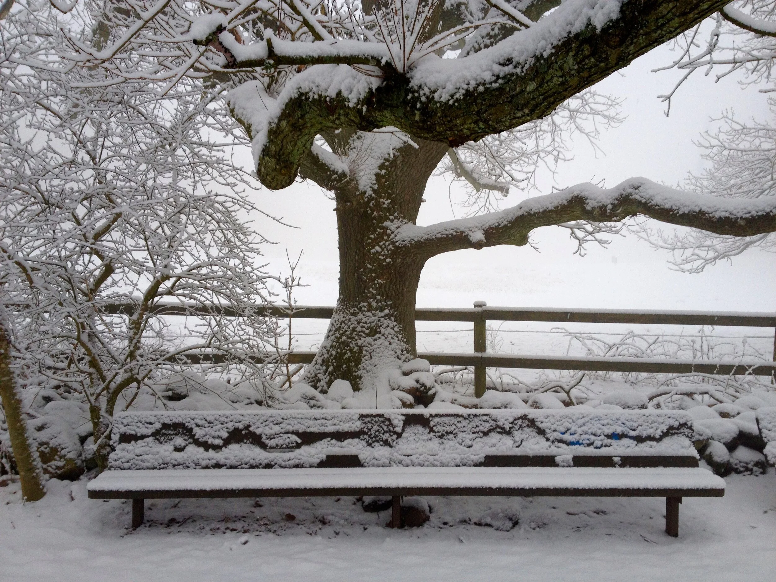 Himmelstorp - Kullaberg, Sweden