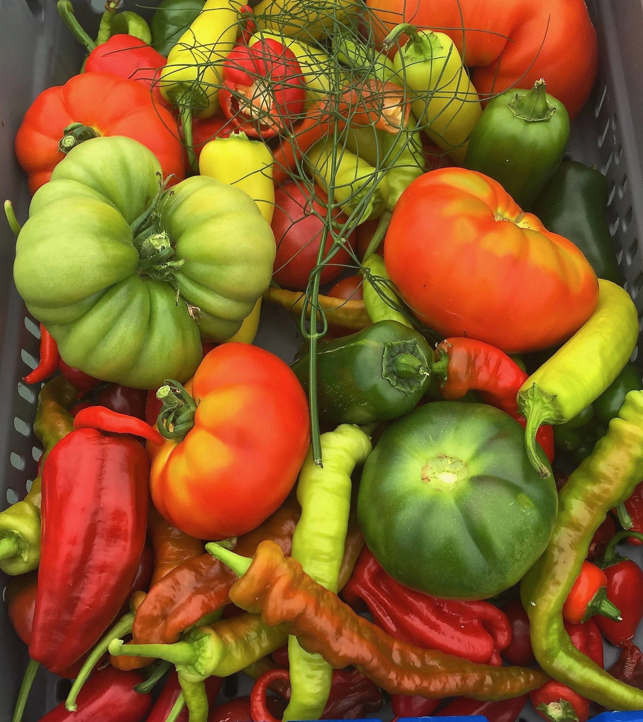 Chiligaraget - Nyhamnsläge, Sweden