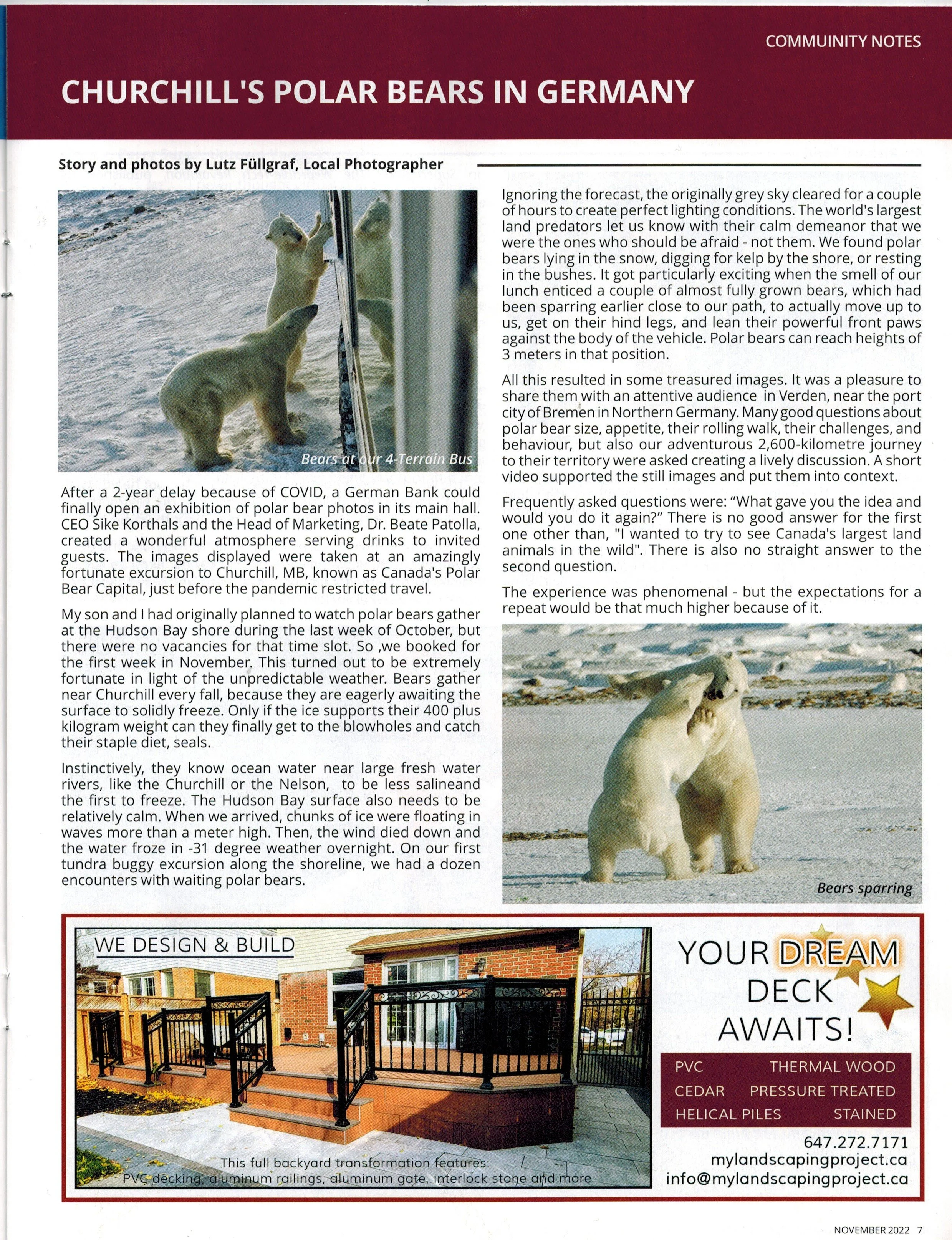 Churchill's Polar Bears in Germany NoLP 202211.jpg