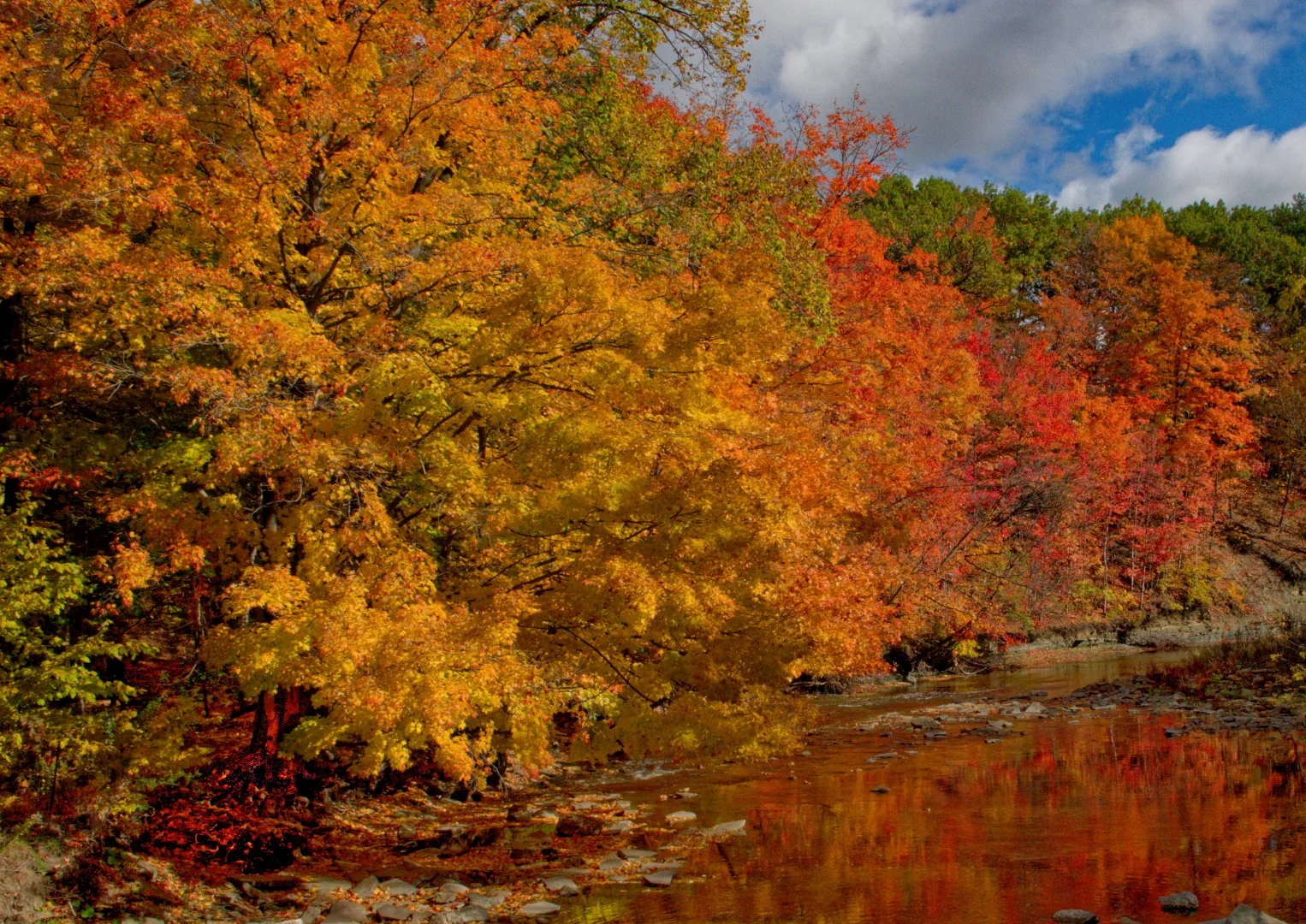 Etobicoke River 20251024 (5)_DxO (4) rz.jpg