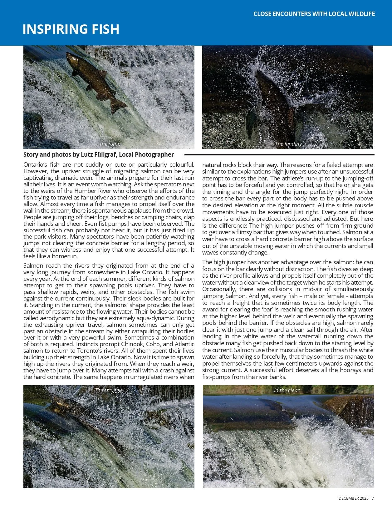 202512 Inspiring Fish (2).jpeg