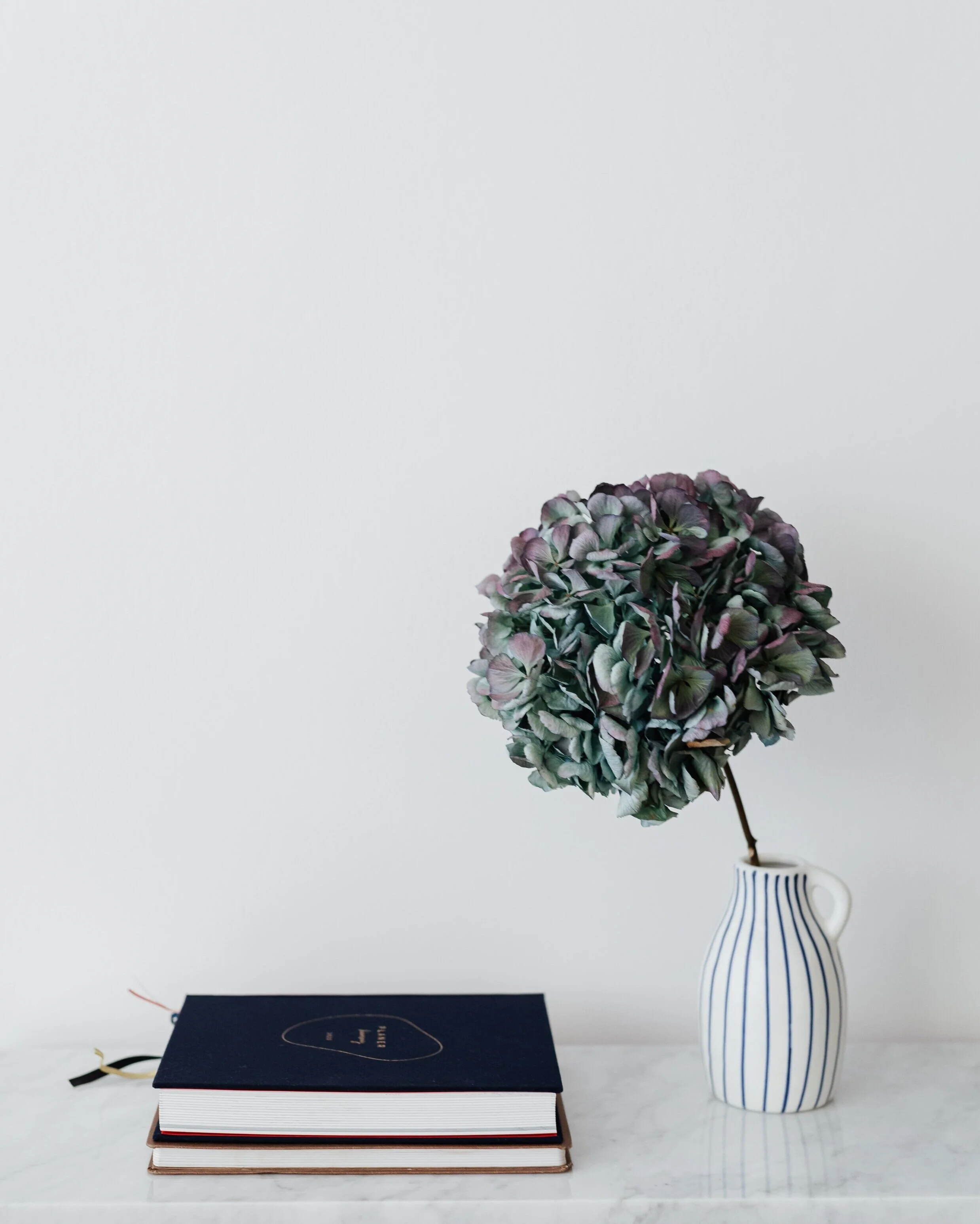 The Reading Room: Revisiting The Bell Jar