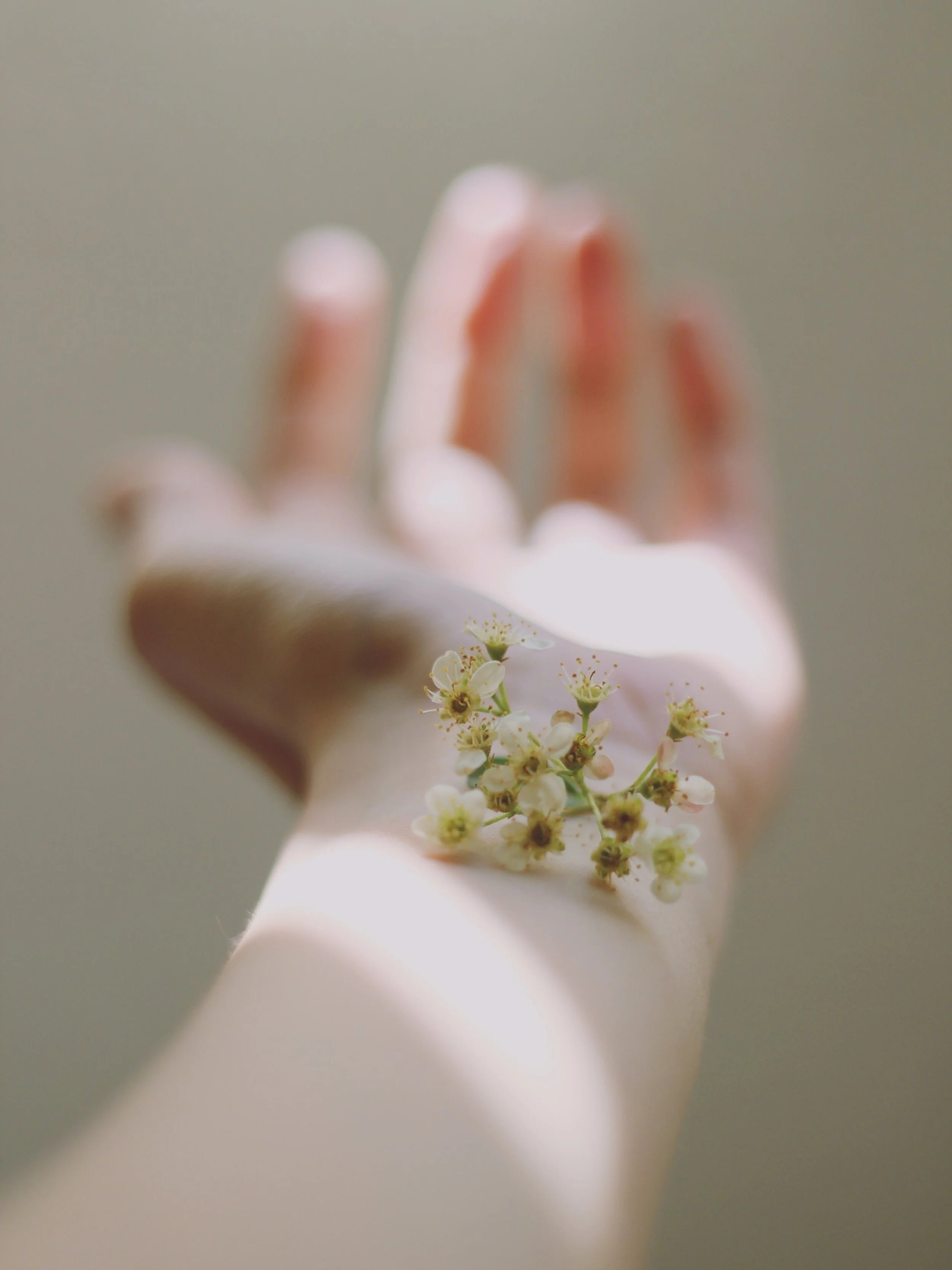 Living and Grieving