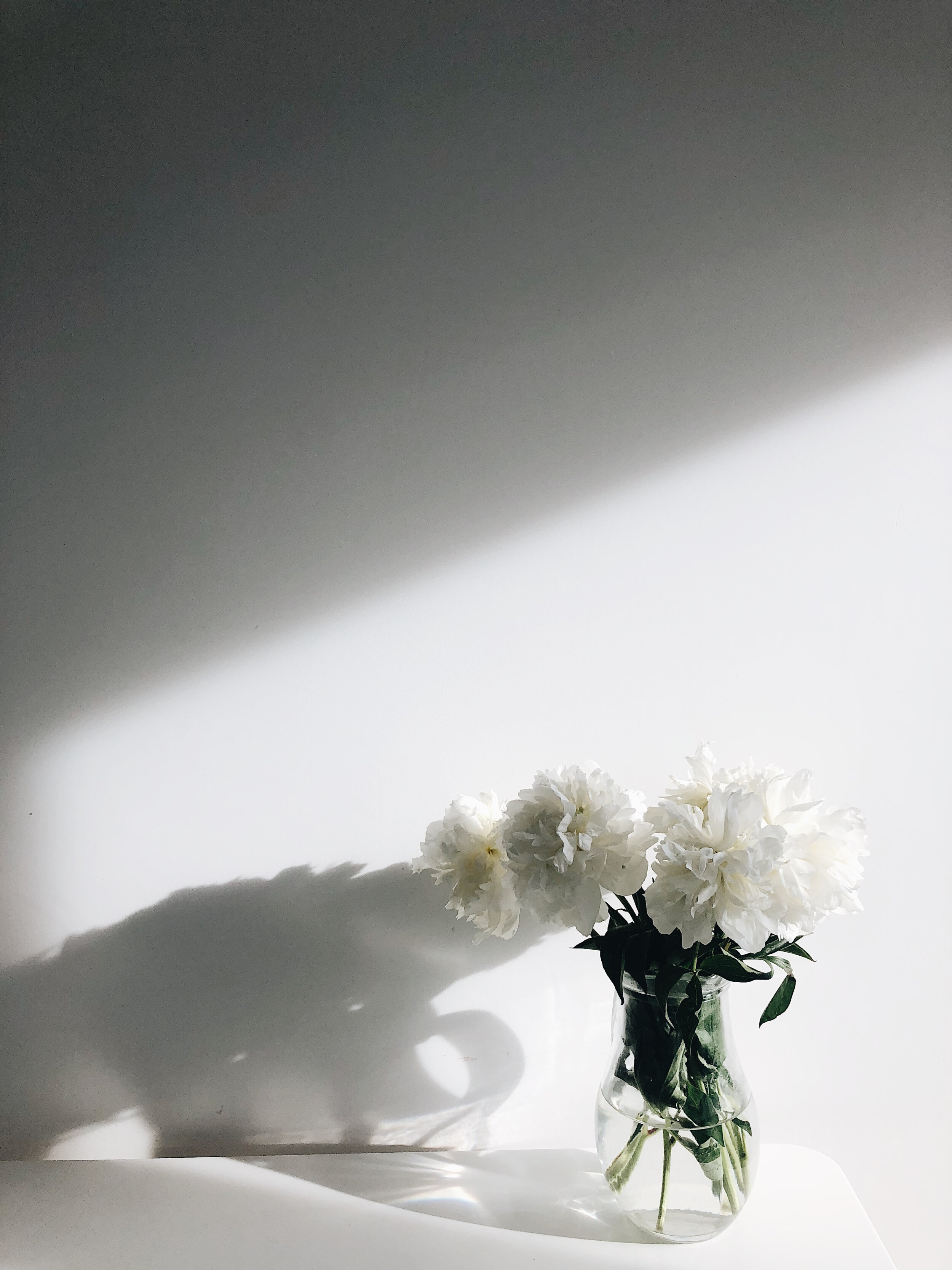 That’s How the Light Gets In