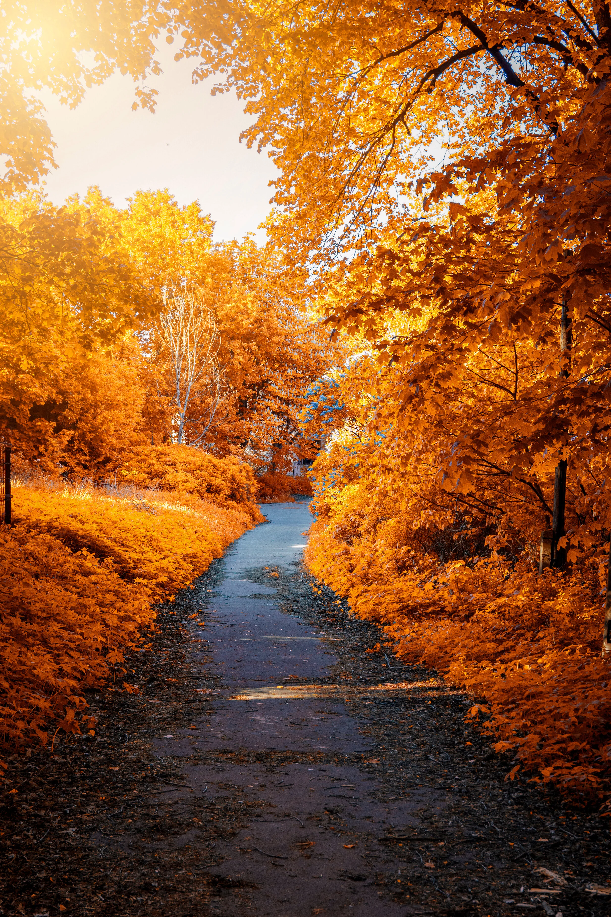 An Ode to Autumn