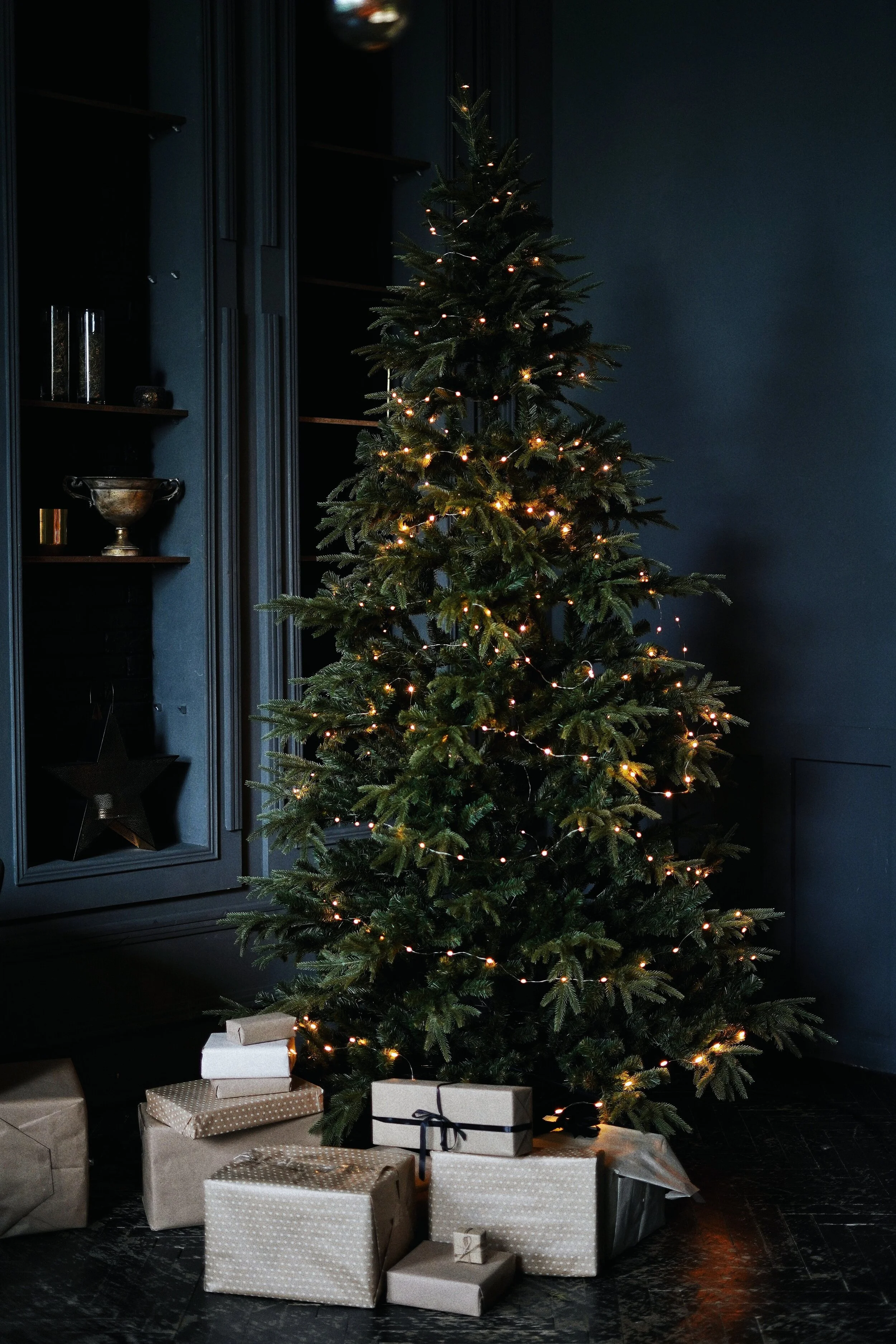 Under The Tree