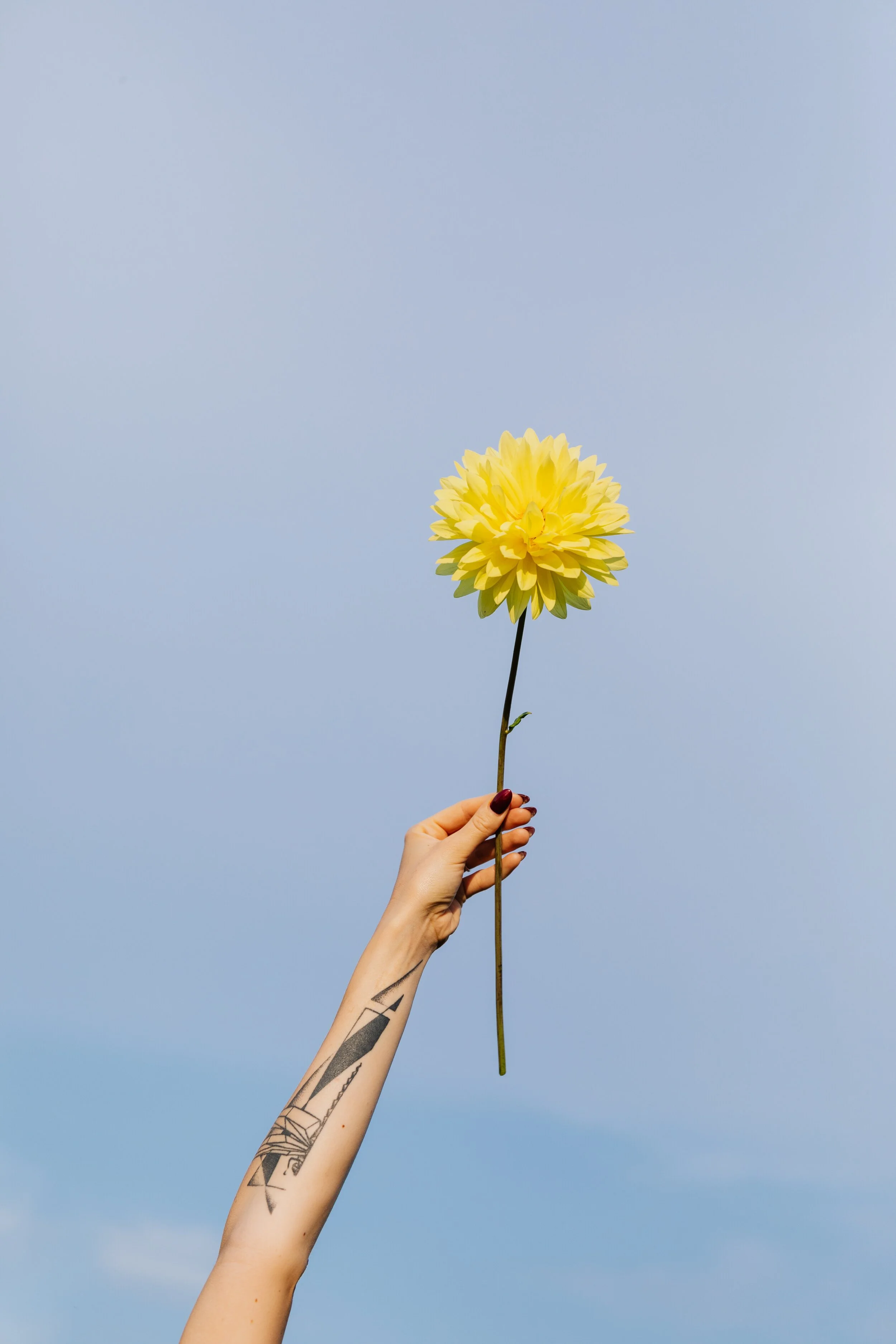 Five Ways to Fire Up your Wellbeing