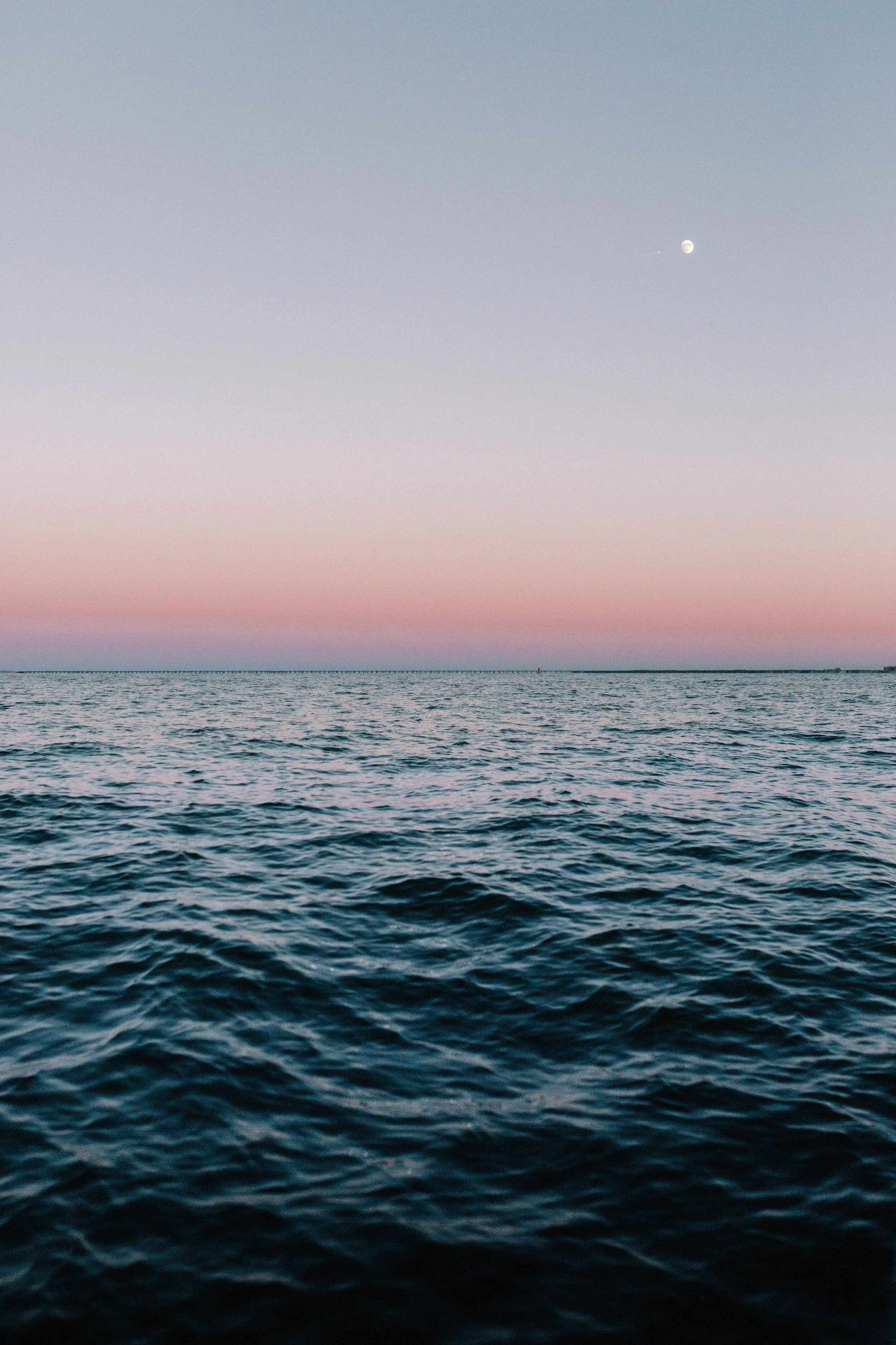 This Is The Sea