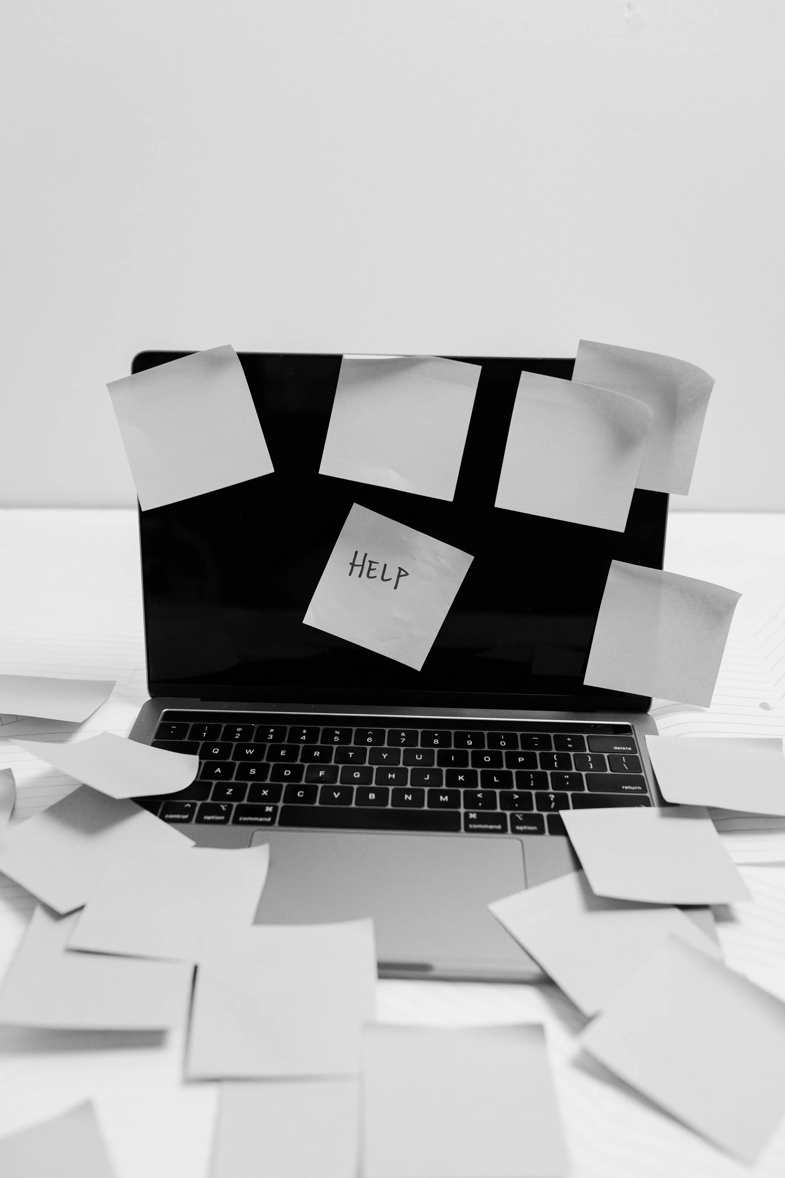 The Path to Productivity 