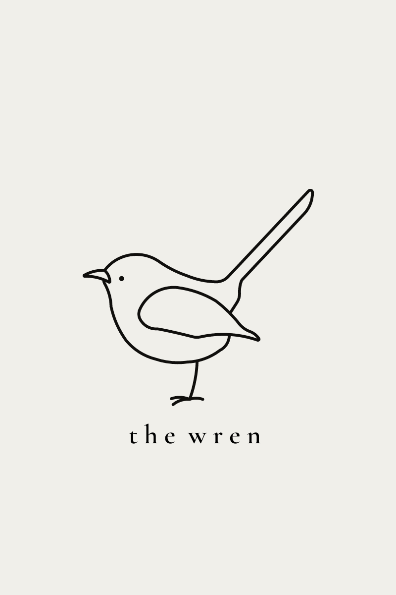 the wren  