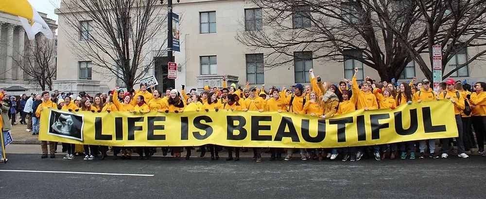 Northwest Families for Life March in Palatine