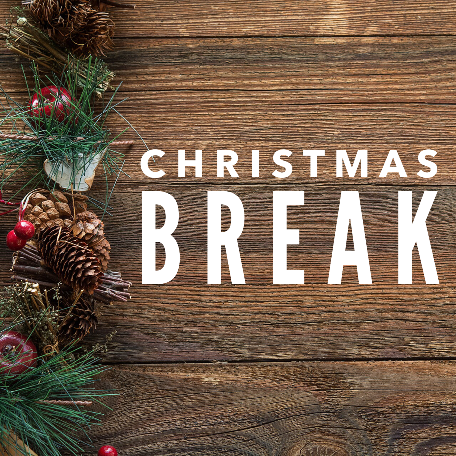 Christmas Break