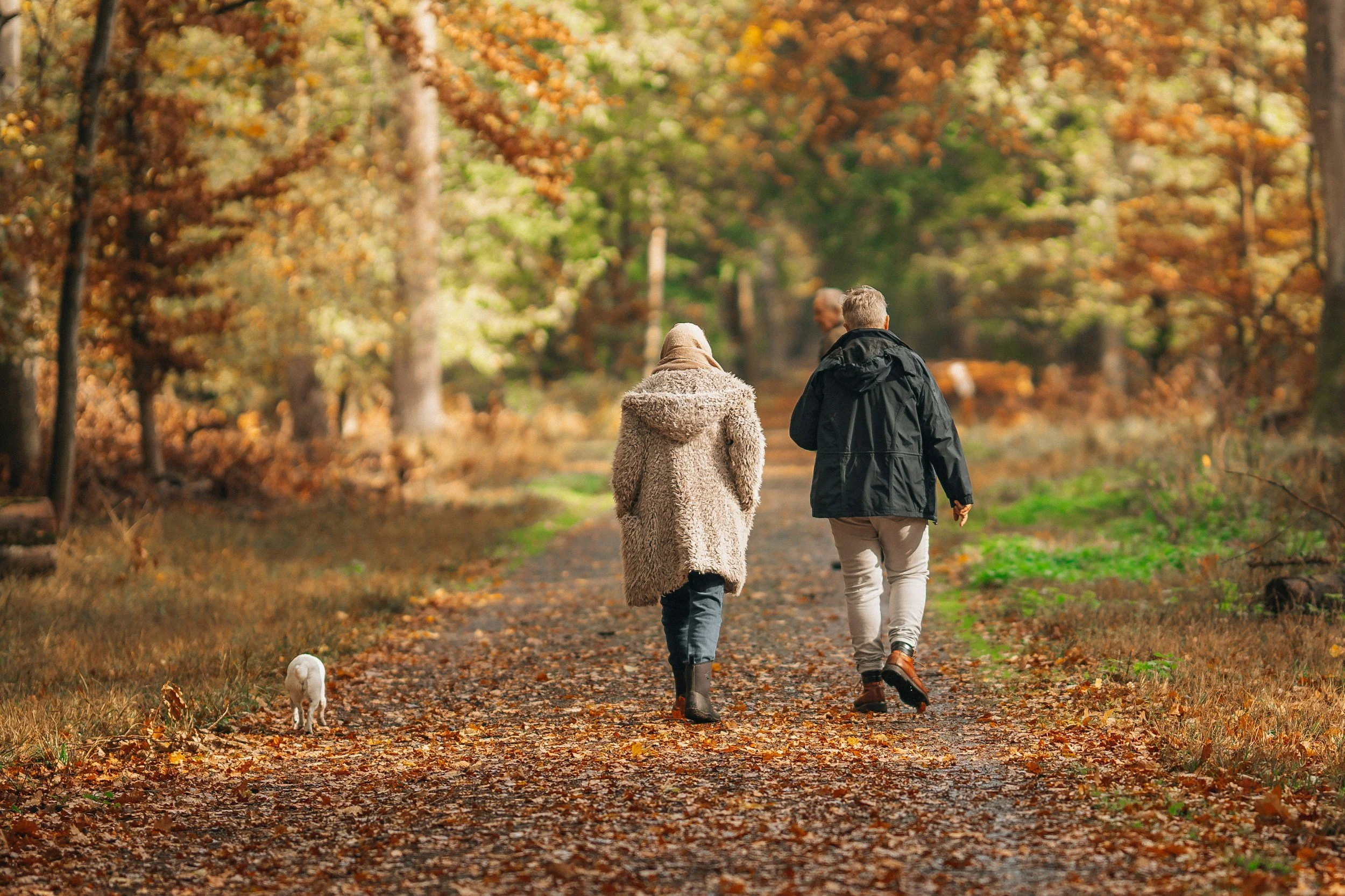 Why Balance Declines with Age