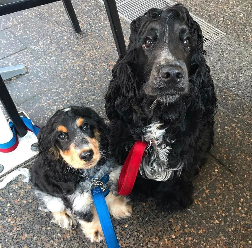 WhatsApp Image 2019-10-25 at 10.33.16 AM.jpeg