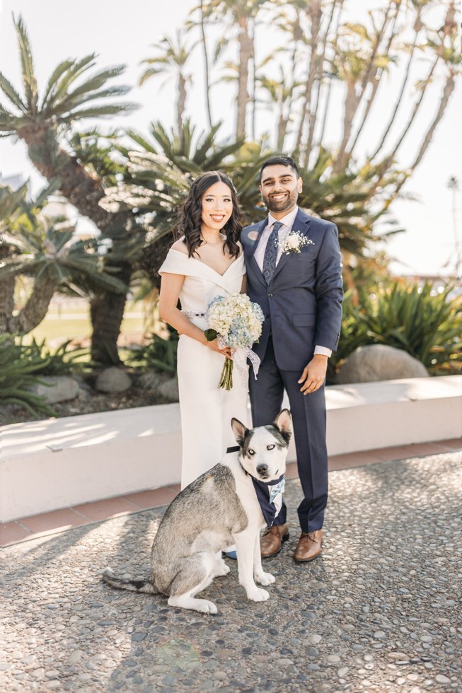 Image of a dog at a downtown courthouse wedding, highlighting the county accessors office as a pet-friendly wedding venue option in San Diego.