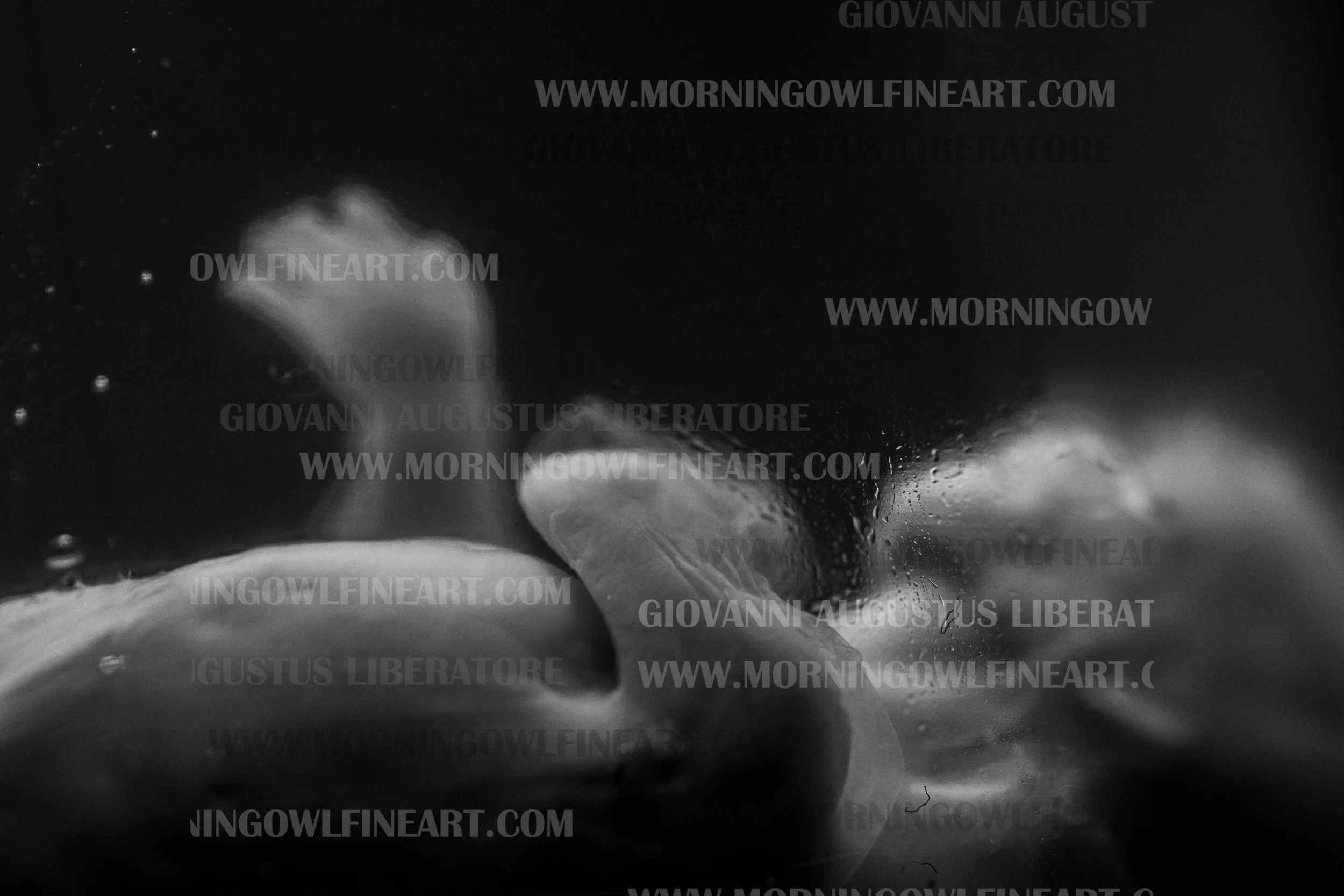 Water Immersion Photography After Infant Loss: How This Gentle Practice ...