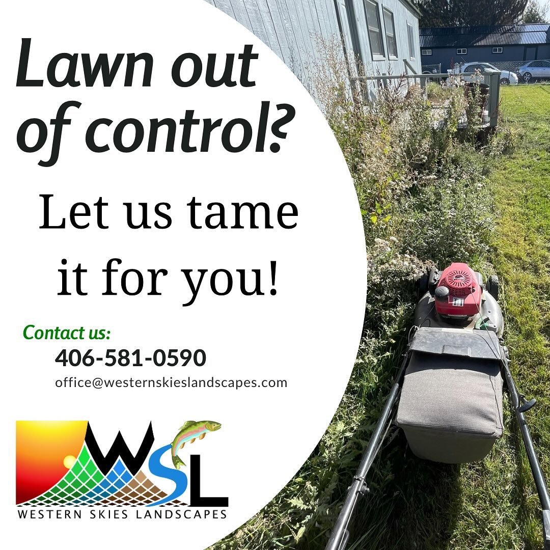 Long, unruly lawn? No problem!🌿✨ Our expert team at WSL specializes in tackling even the most challenging yards. We&rsquo;ll keep your lawn looking immaculate and well maintained. Contact us today for top-notch mowing services!🏡✂️ #LawnCare #Mowing