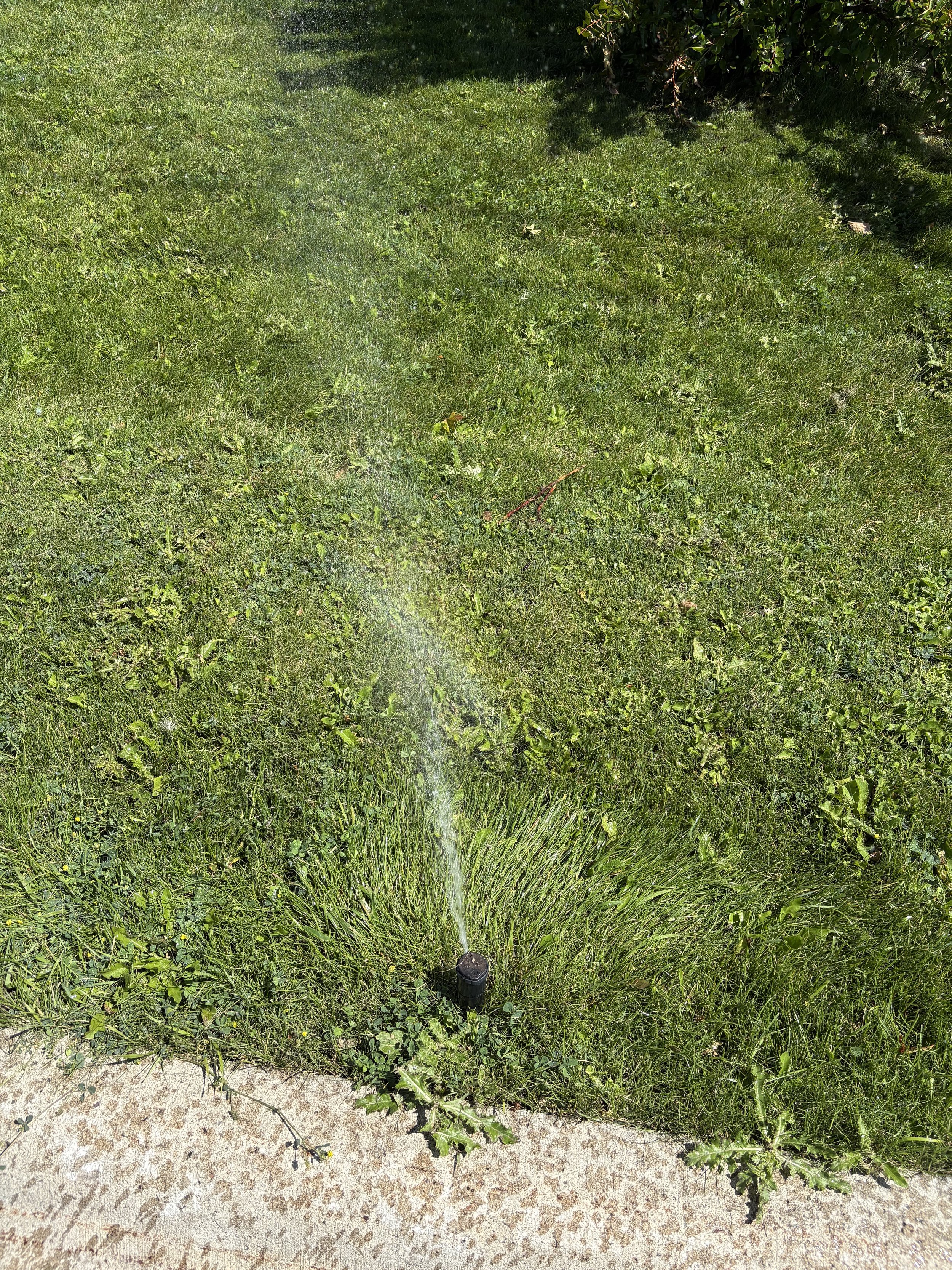 Bozeman Irrigation Startup Guide: Repairs, Watering Rules &amp; Efficiency Tips