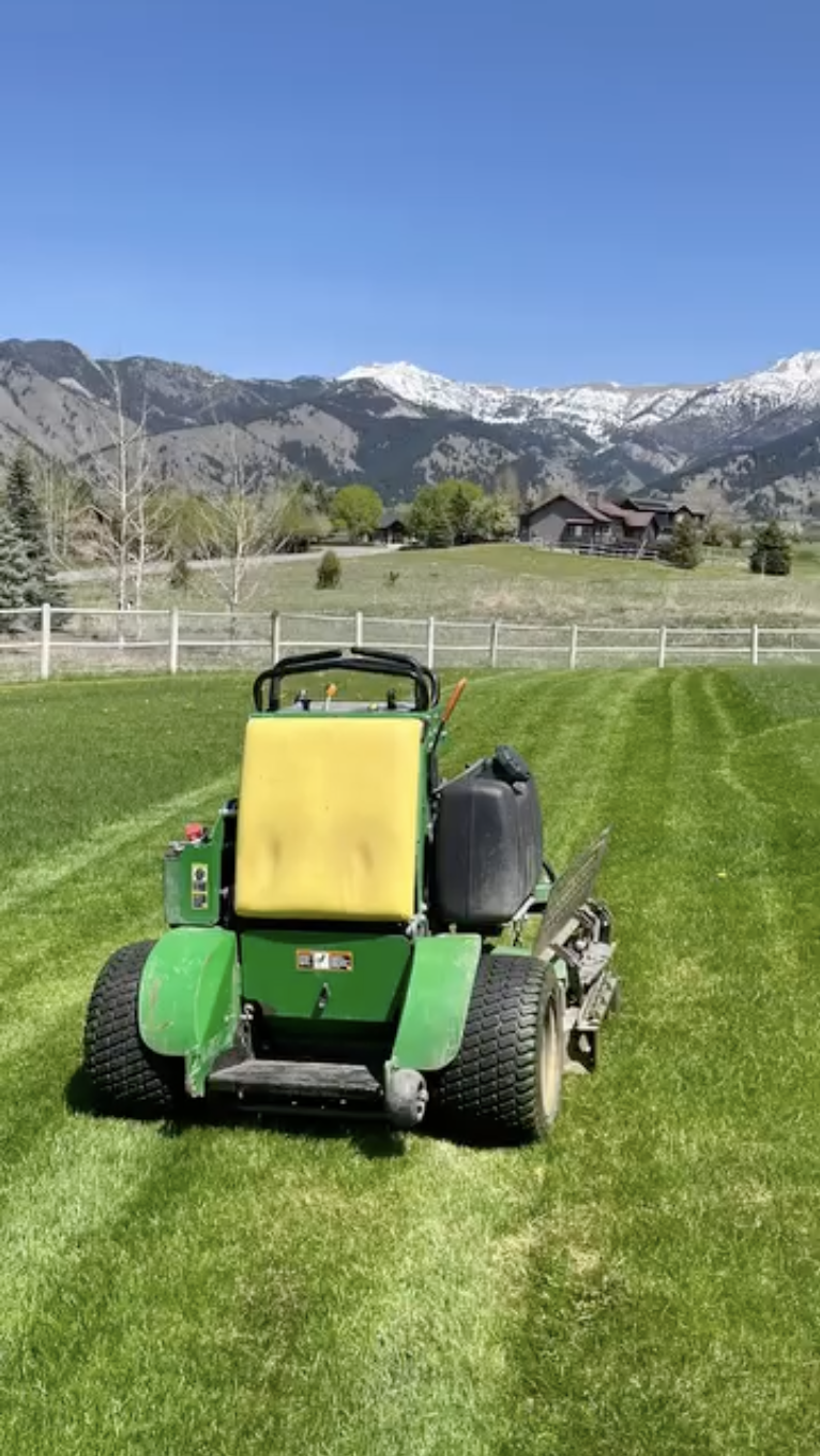 How to Have a Beautiful Yard Without Wasting Water