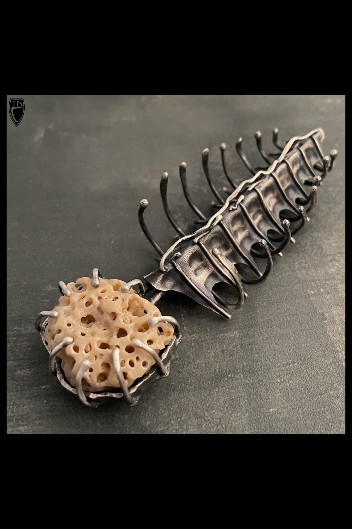 "Biomorphism", Sterling Silver and Ocean Tumbled Seashell Brooch/Pendant