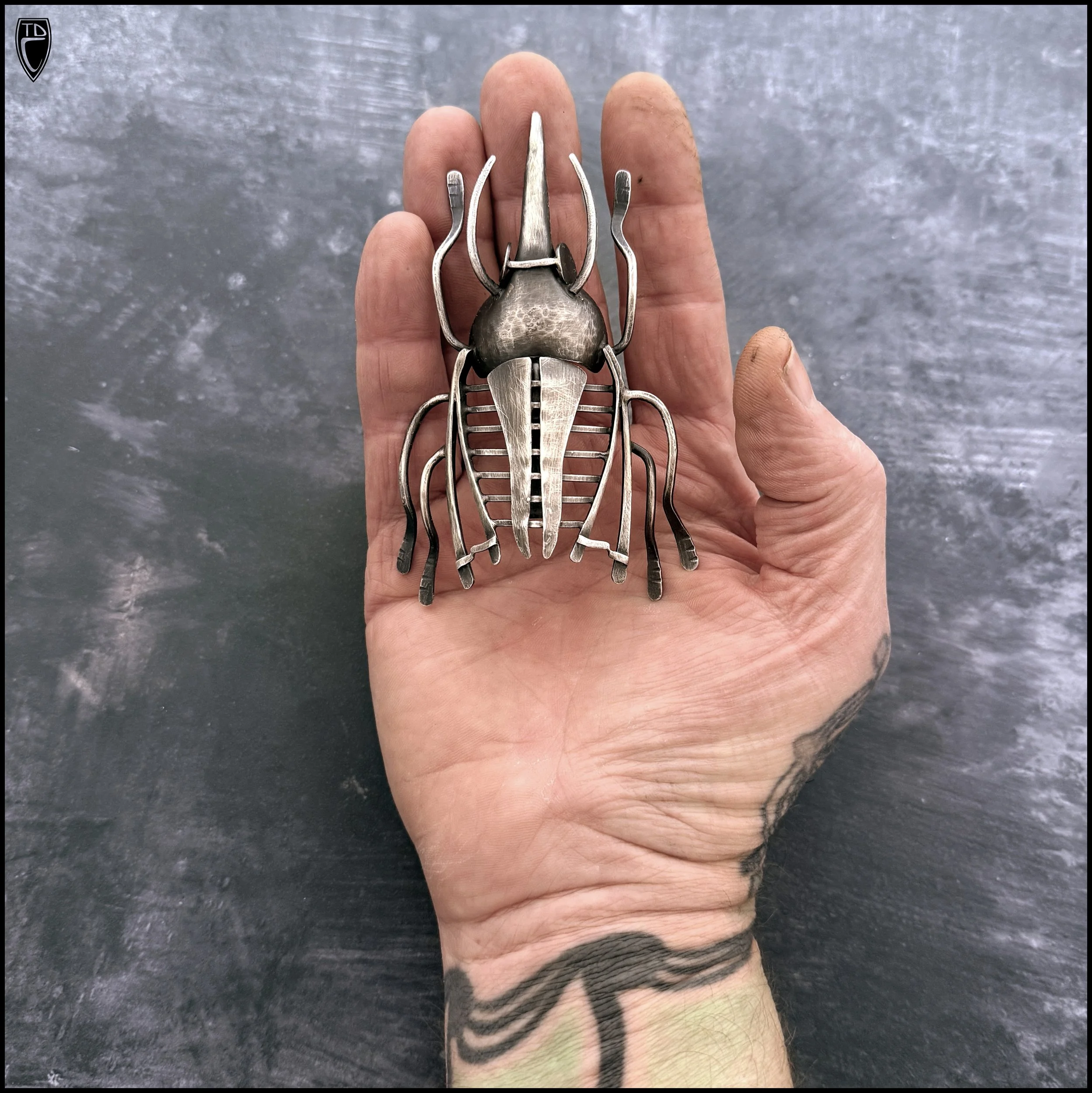IMG_8518.jpg