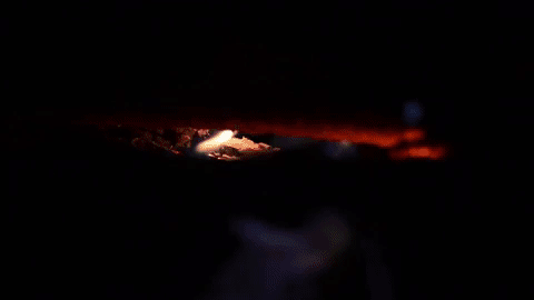 Animated GIF-downsized_large (1).gif