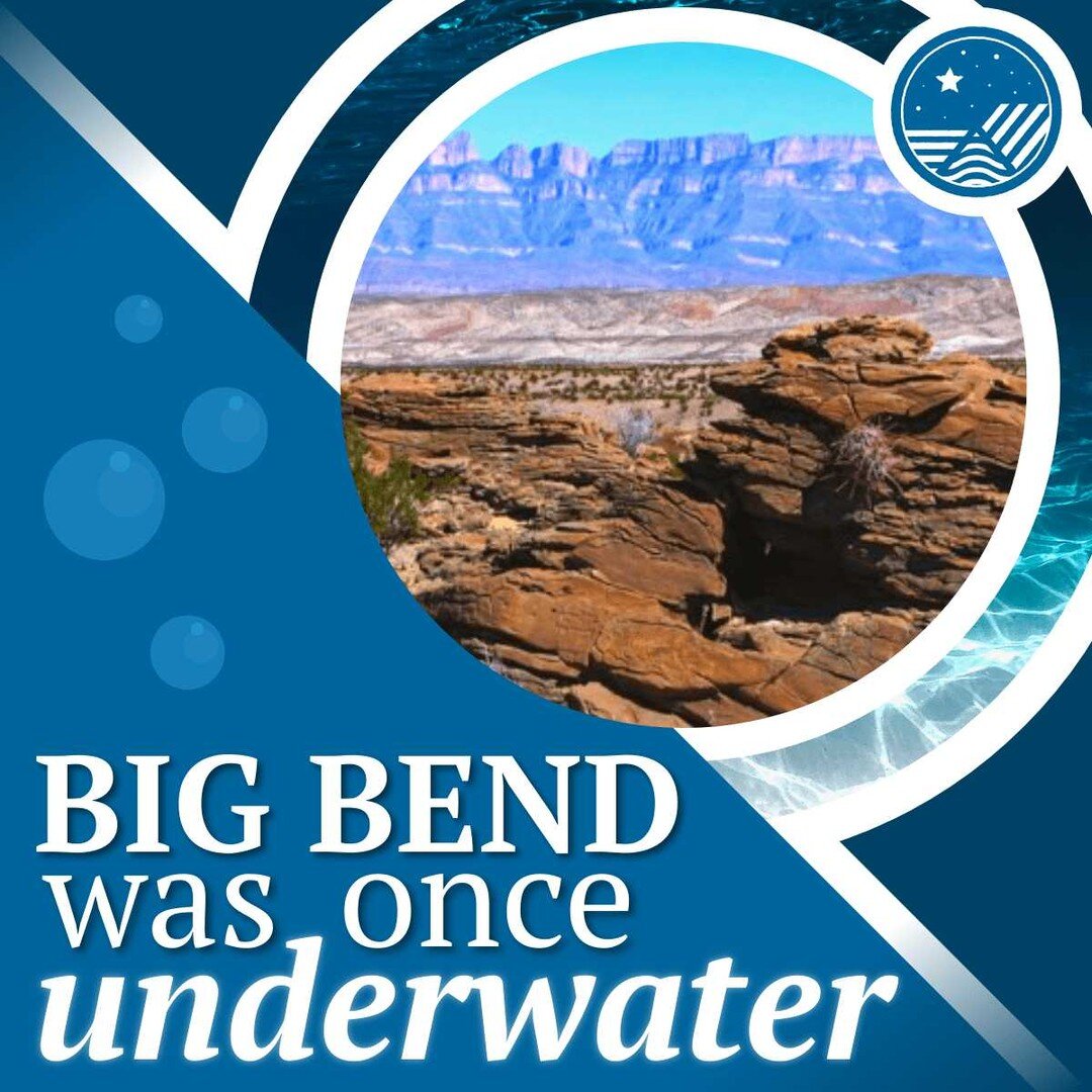 Did you know that during the Cretaceous Period, the ocean covered the entire Big Bend region? The water may be long gone, but you can still see evidence of it in the limestone cliffs of the Sierra del Carmen. #RespectBigBend