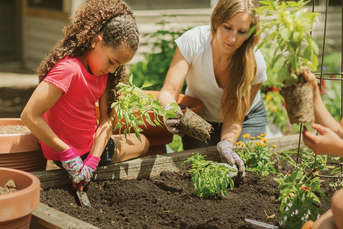 Happy #NationalGardeningDay! We appreciate each and every one of you and are excited to garden with you again this season. Share your stories or pictures with us on how you are celebrating today?