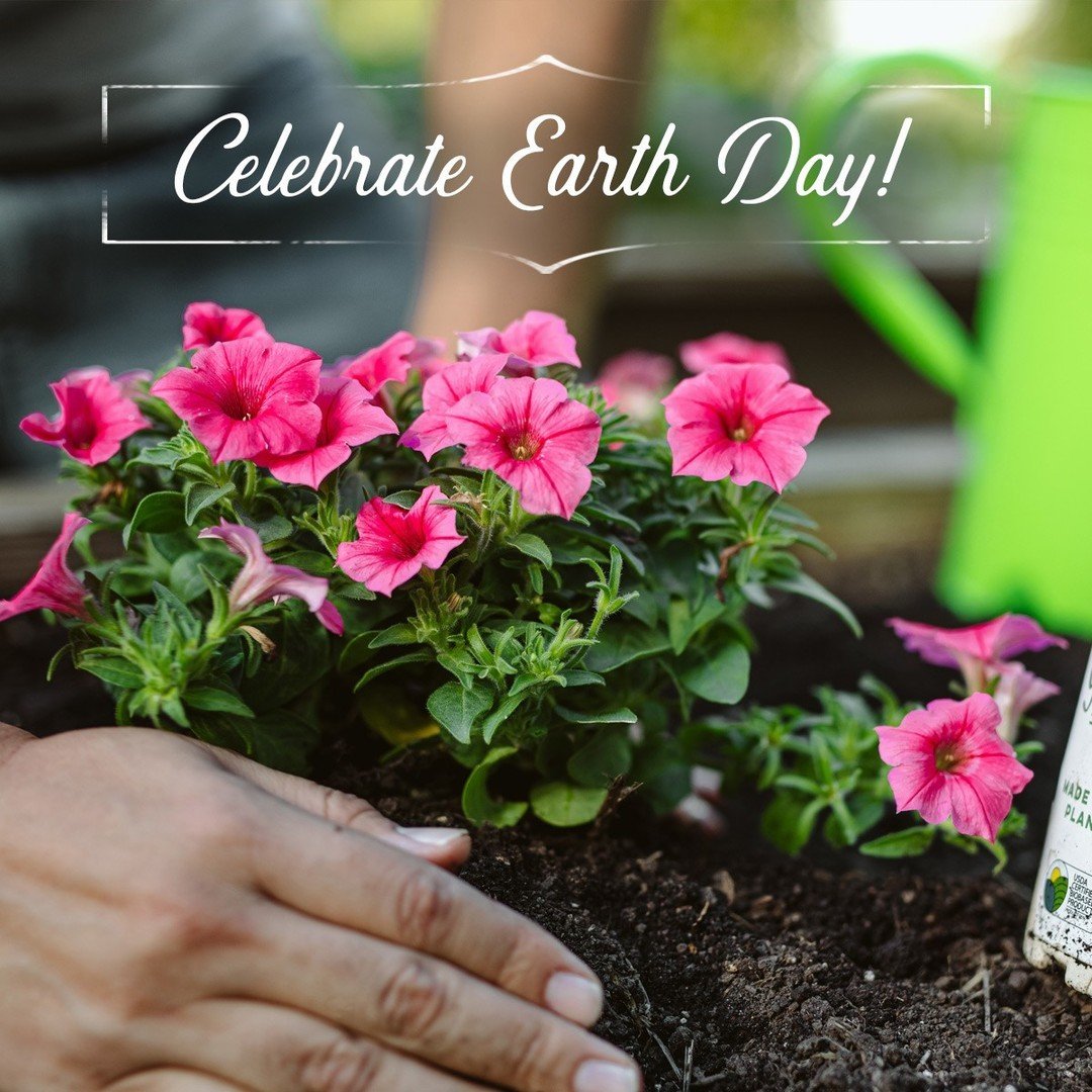 Happy Earth Day! Help us celebrate our planet all year long by sharing your favorite sustainability tip below. 

We'll go first: plant drought-tolerant plants like verbena, scaevola, or angelonia to save water during the summer months.