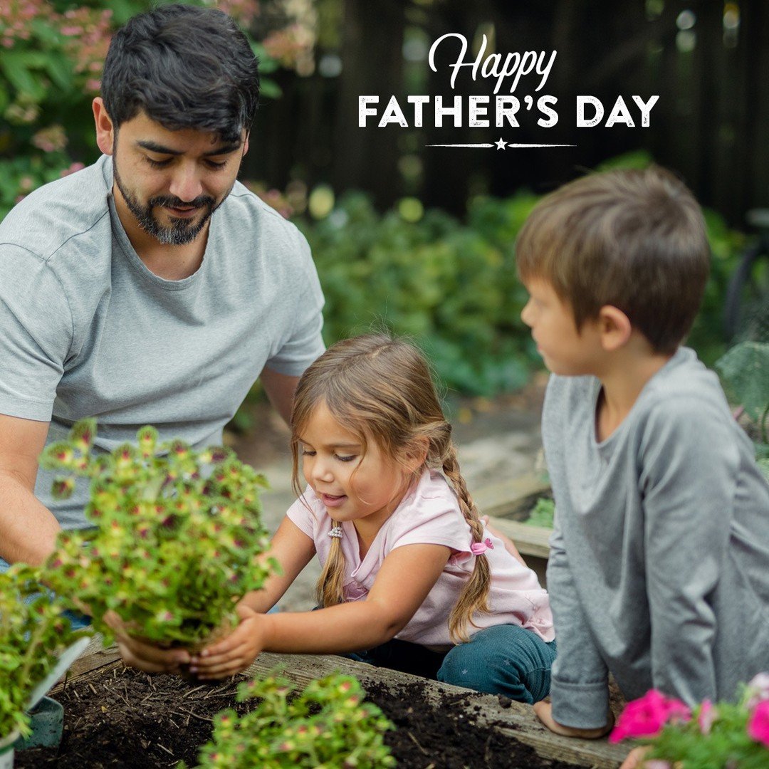 🌿 Give Dad the Gift of the Great Outdoors! 🌿

This Father&rsquo;s Day, skip the ties and surprise Dad with something he&rsquo;ll truly enjoy&mdash;flowering shrubs, trees, or garden tools to help his outdoor space thrive! 🌳✨

Whether he loves gril
