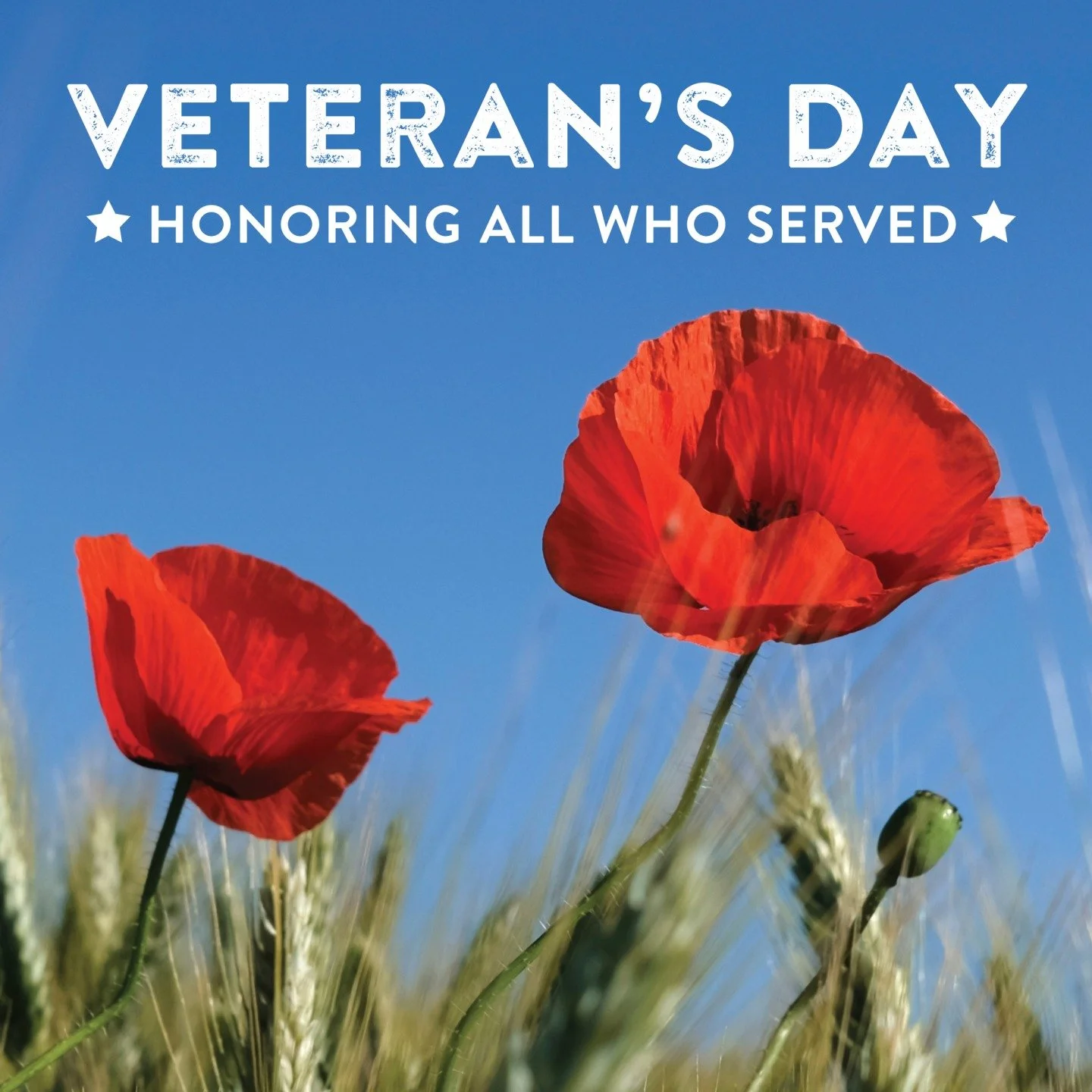 Today we pause to honor and thank all who have served our country. Your dedication and sacrifice mean so much, and we are deeply grateful.

We would love to celebrate with you. Share a photo of yourself or the veteran in your life in the comments so 