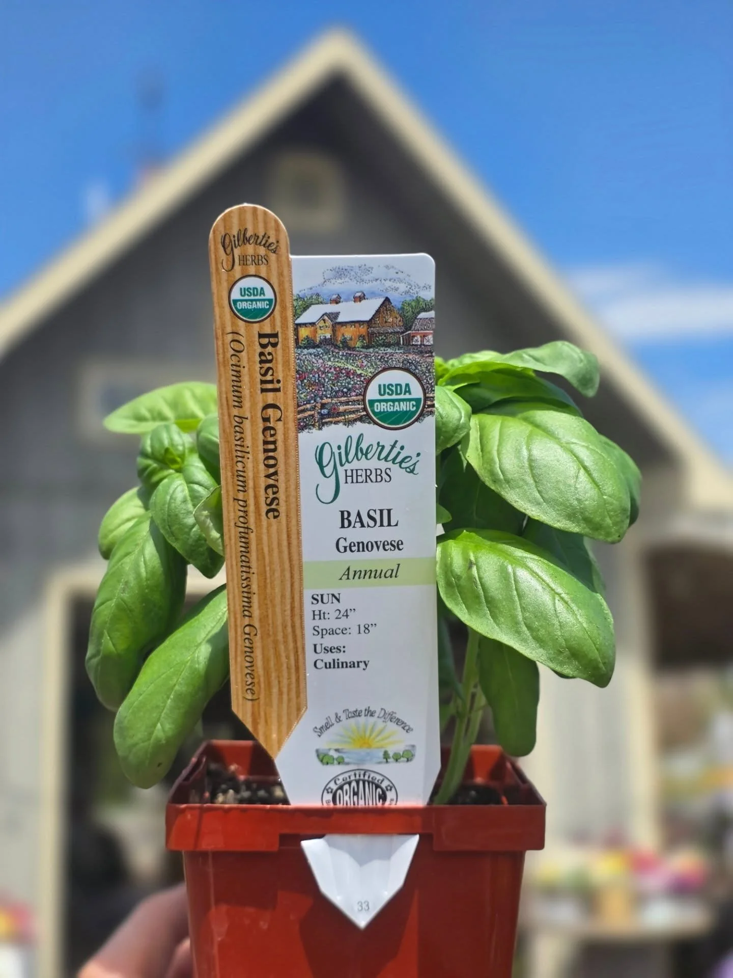 Fresh organic herbs are here 🌿 perfect for gardens or pots! Even more in store&mdash;come check it out 👀✨

#CountryGardenShed #clintonnj #hunterdoncountynj #FlemingtonNJ #localnjgardencenter