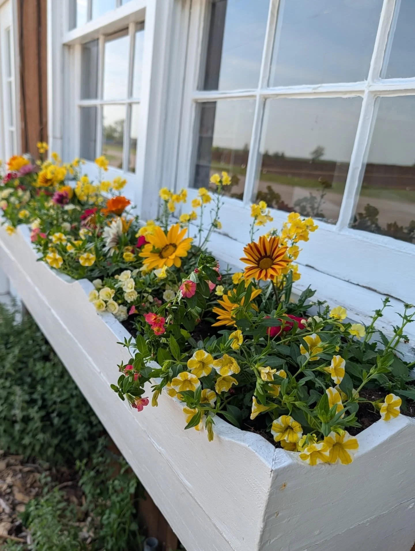 Beautiful containers without the work 🌿✨ We&rsquo;ll come right to your home or business and plant or refresh your pots for every season! From spring flowers to fall mums and winter greens, we keep your containers looking beautiful year-round. Just 