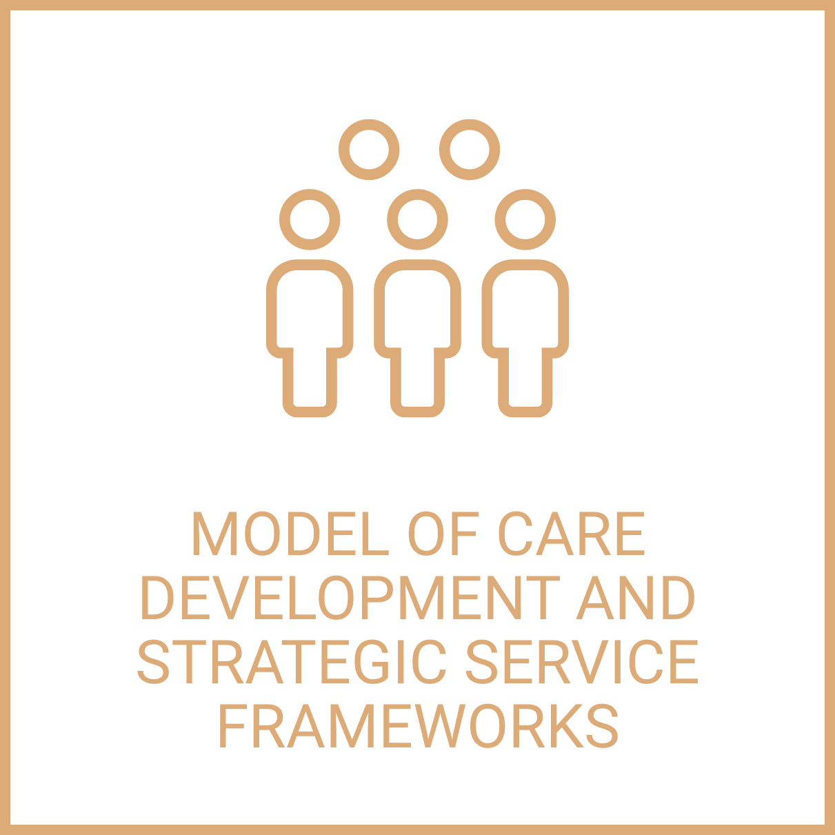 Model of care.png
