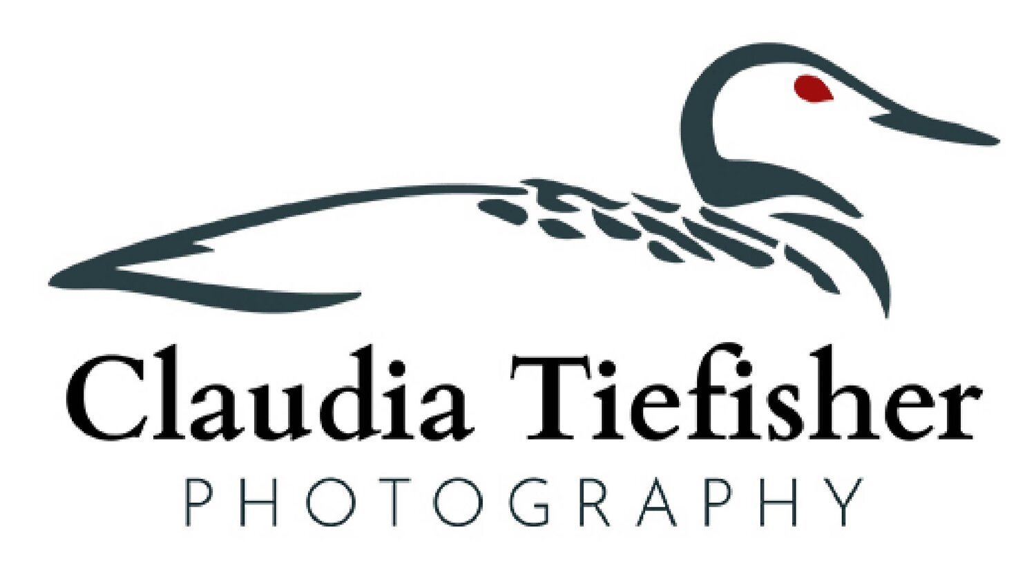Claudia Tiefisher Photography