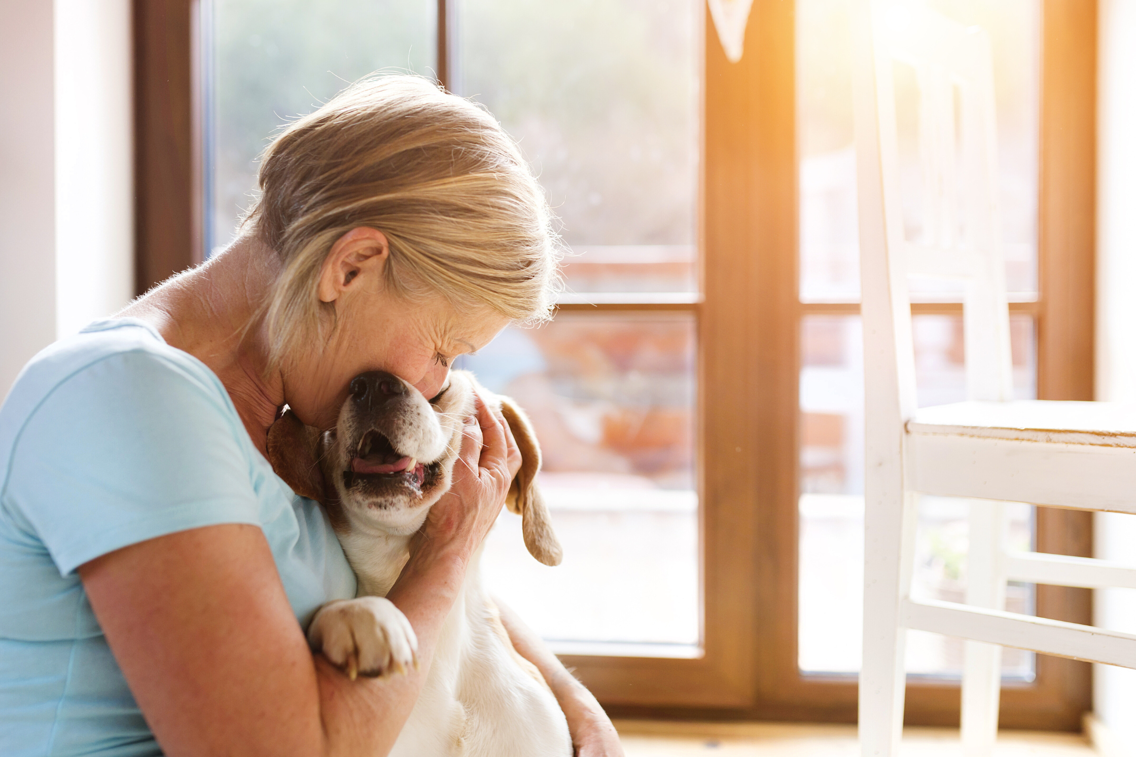 Senior woman hugging a happy dog in a sunlit room after veterinary treatment and recovery