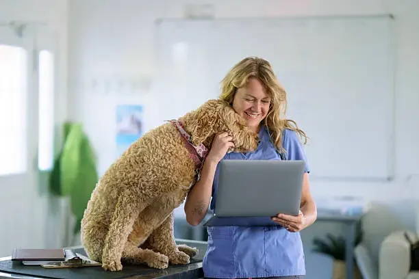 Veterinarian reviewing diagnostic results on a laptop while interacting with a dog in a clinic