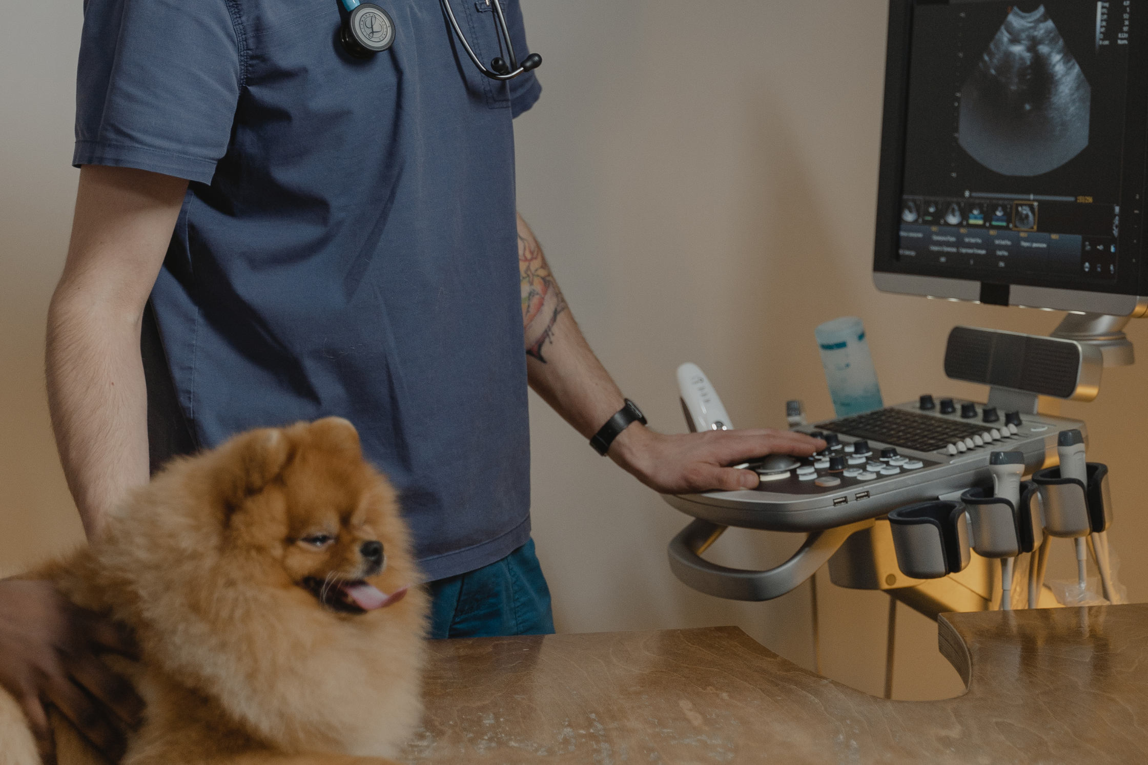 Veterinary professional performing an ultrasound examination on a dog at Sage Veterinary Imaging near Killeen and Temple, Texas