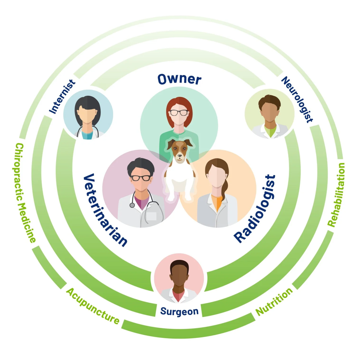 Sage Veterinary Imaging Humanquality imaging for pets