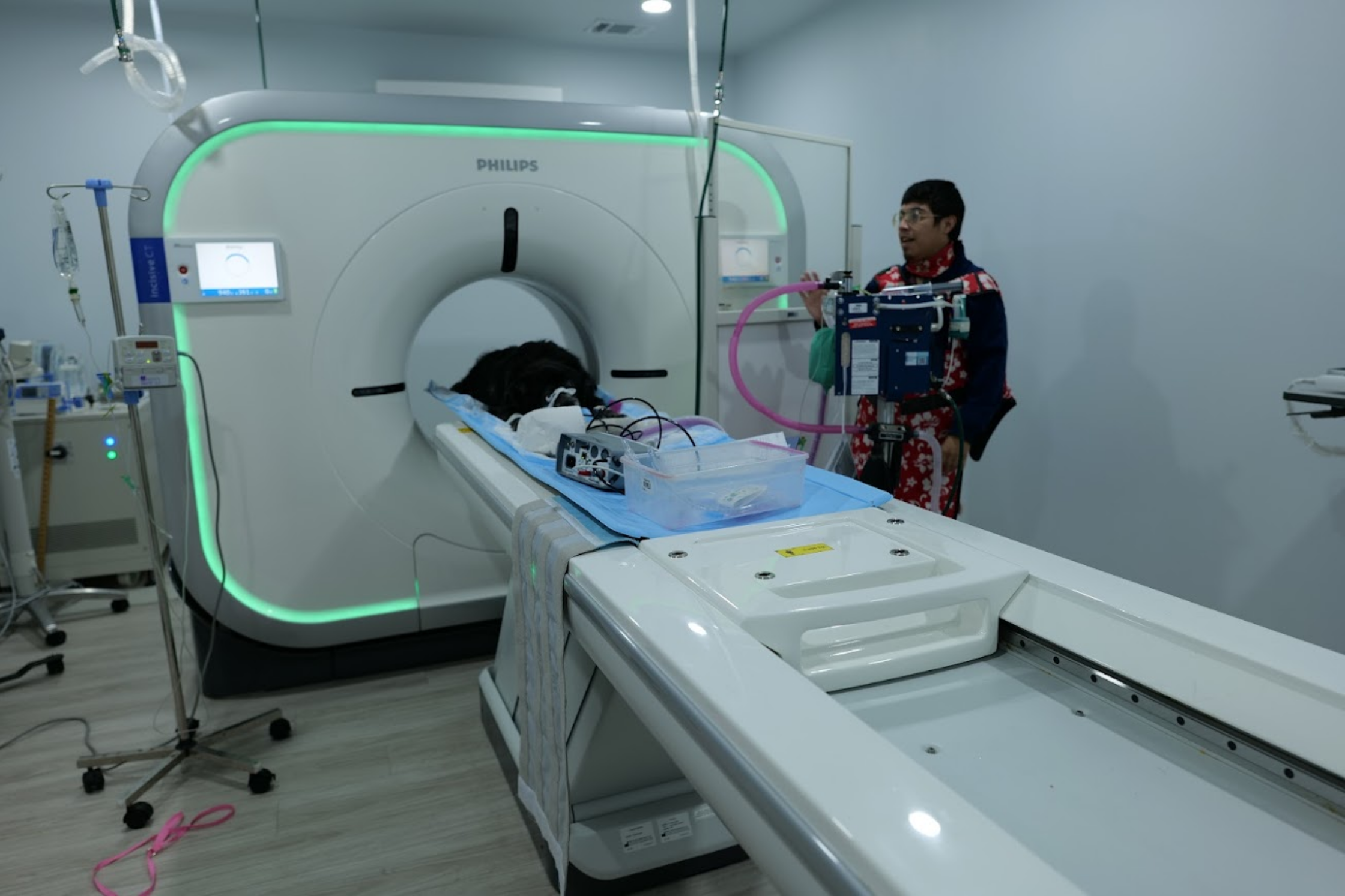 Dog undergoing a CT scan while being monitored by the veterinary imaging team at Sage Veterinary Imaging