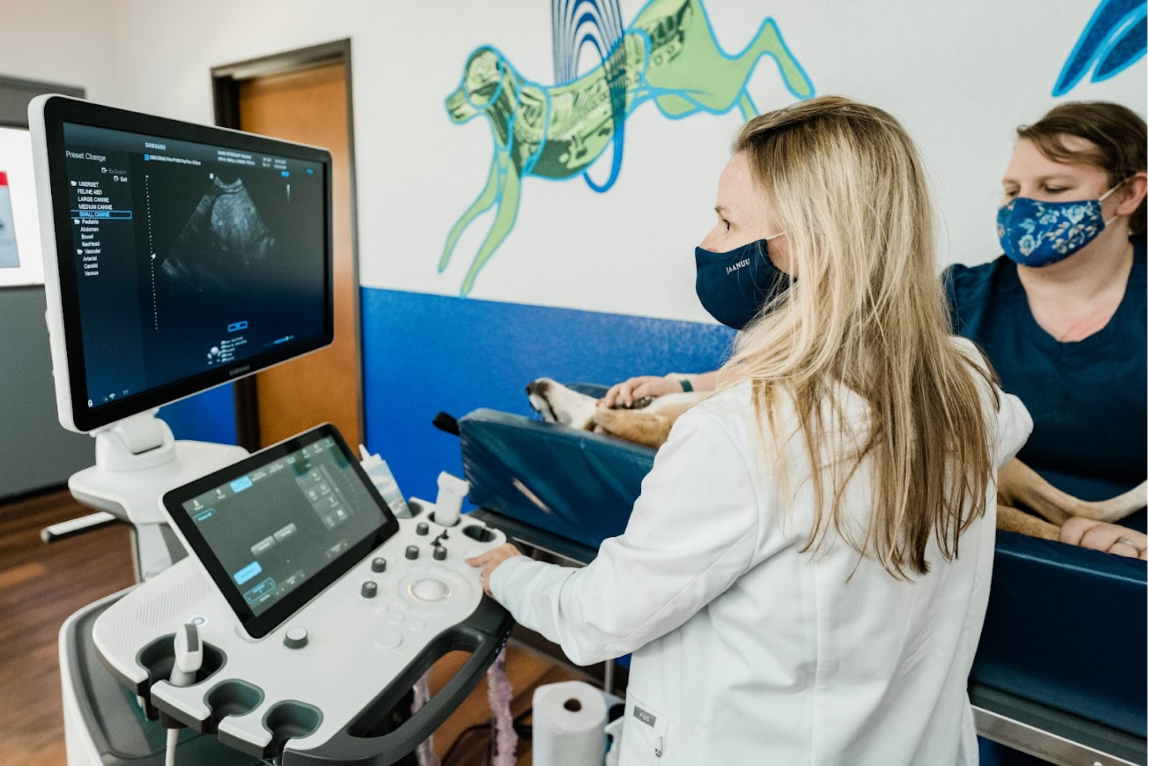 Echocardiography for Dogs Near Houston, Texas