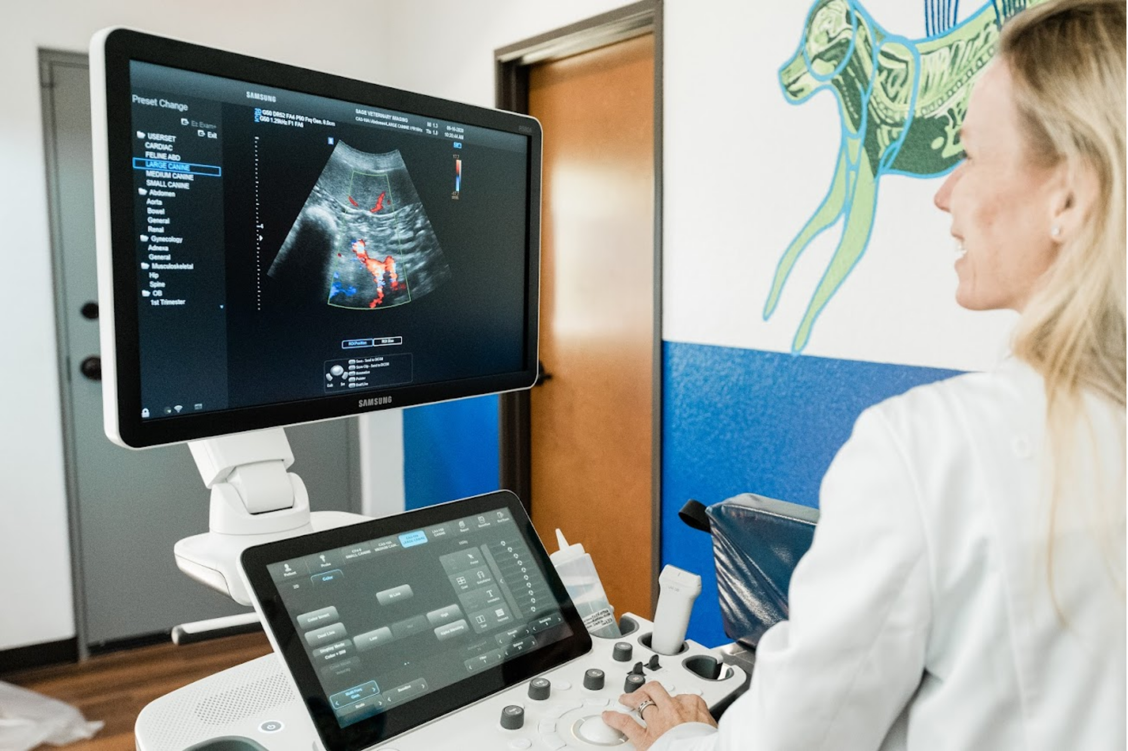 Veterinary Ultrasound in Round Rock, Texas
