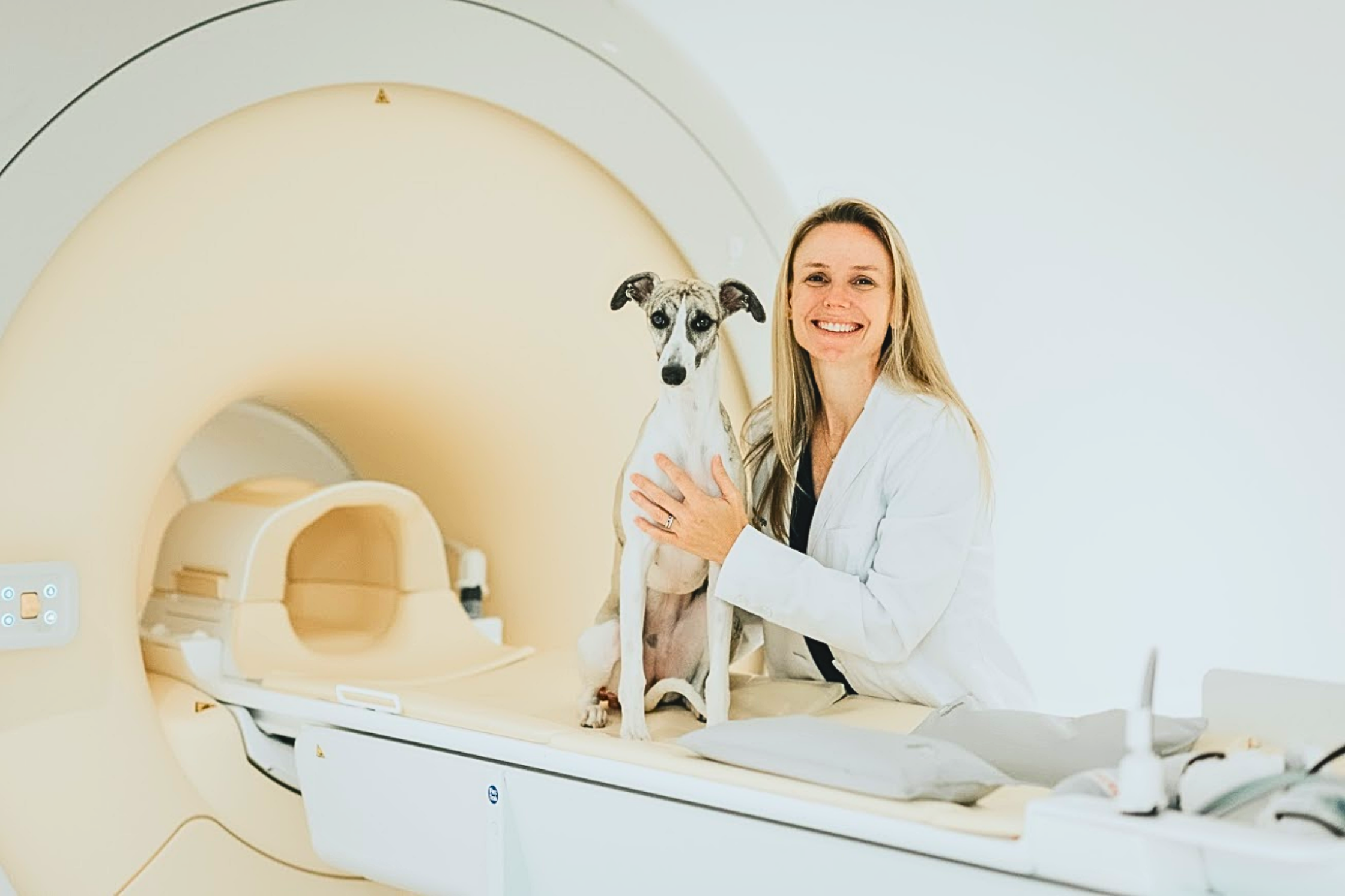 Pet MRI Near Katy, Texas