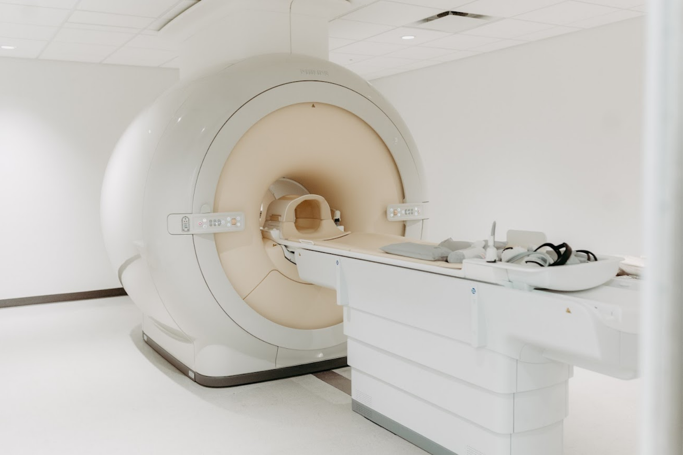Seizures in Dogs: Getting an MRI Near Houston, Texas
