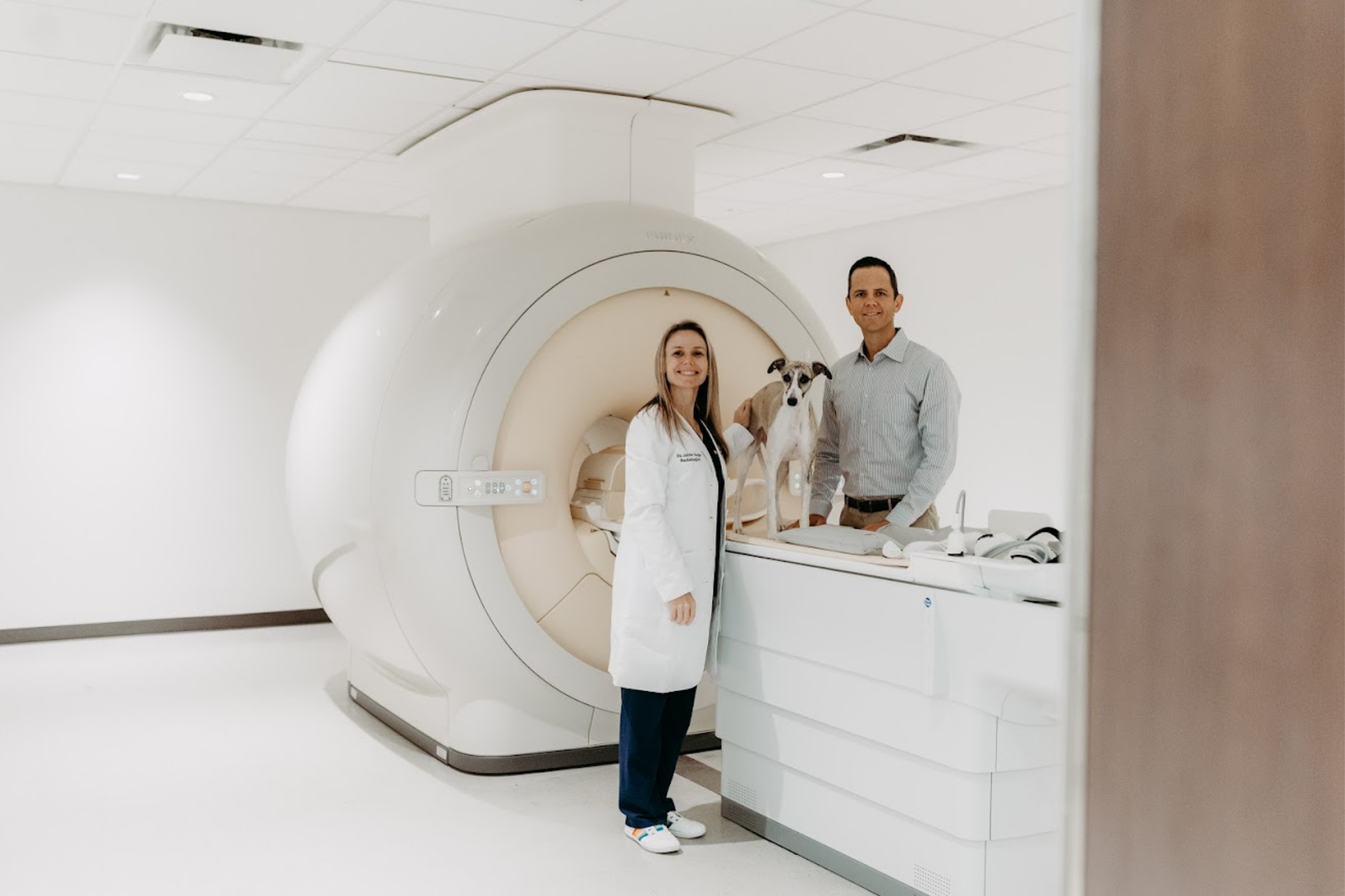 Veterinary MRI Near Provo and Orem, Utah