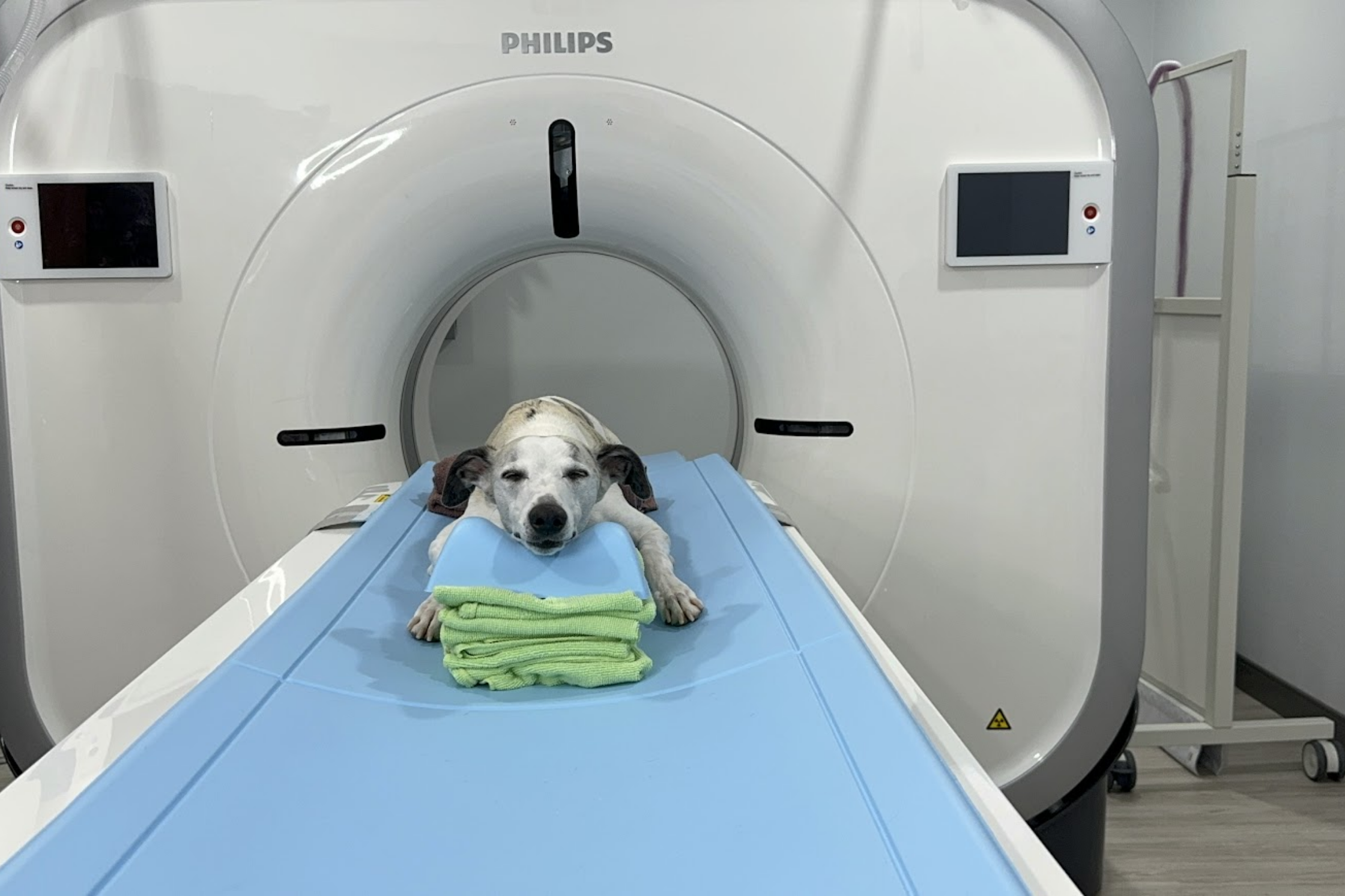 Advanced Veterinary Imaging Near Draper, Utah