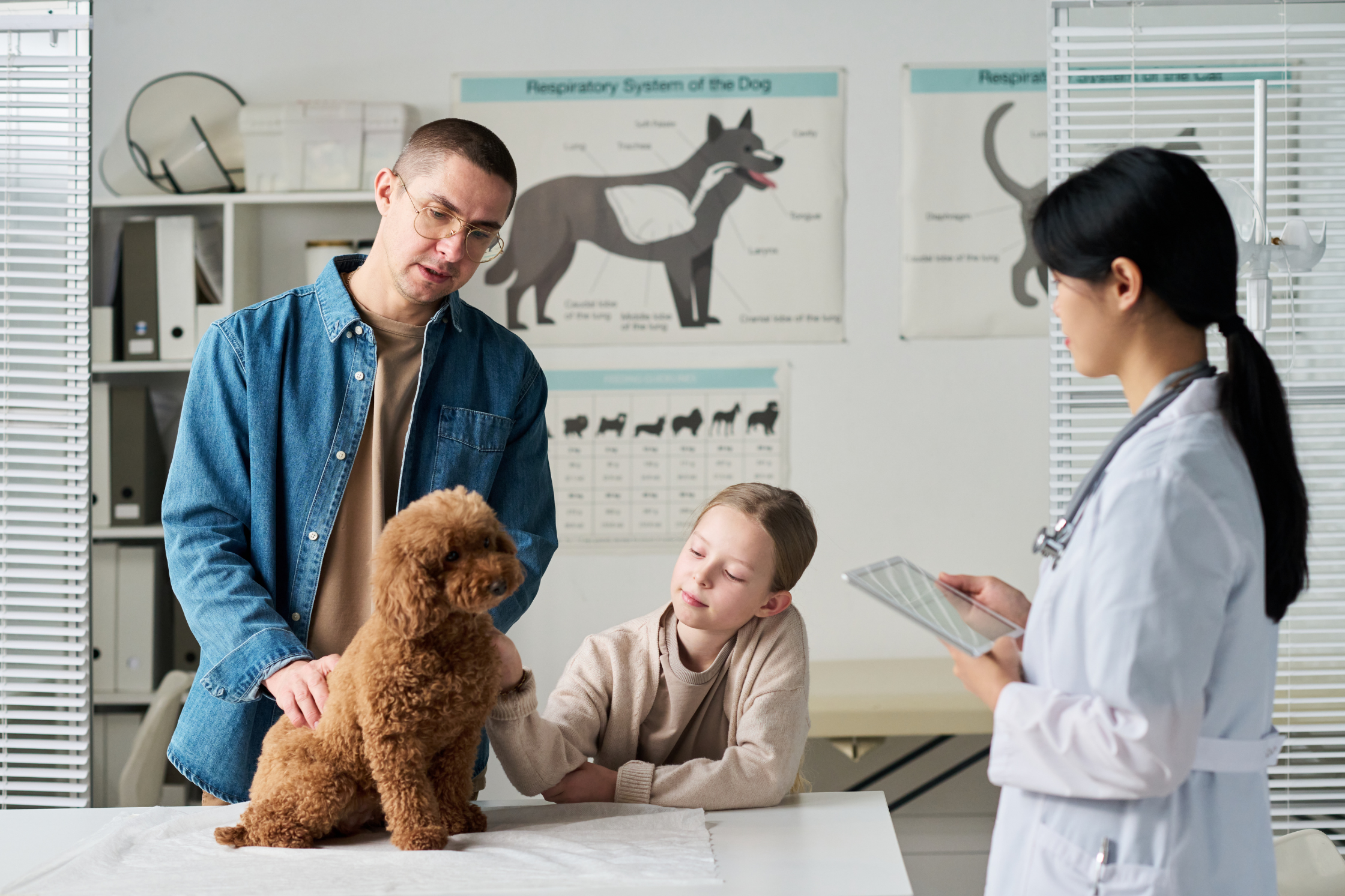 How to Refer a Patient for Advanced Imaging Near Austin, Texas
