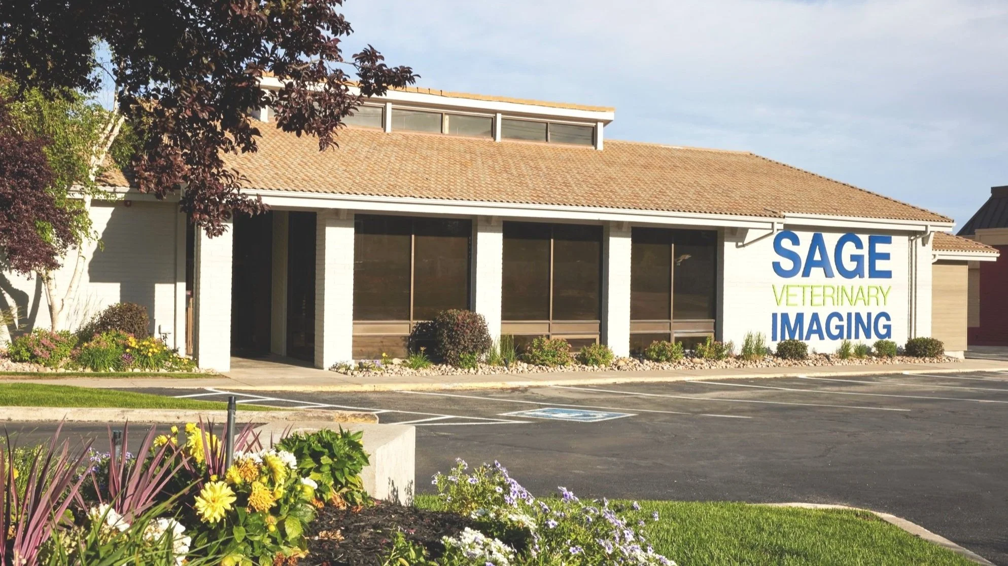 What is Physical Therapy for Dogs? — Sage Veterinary Imaging Human